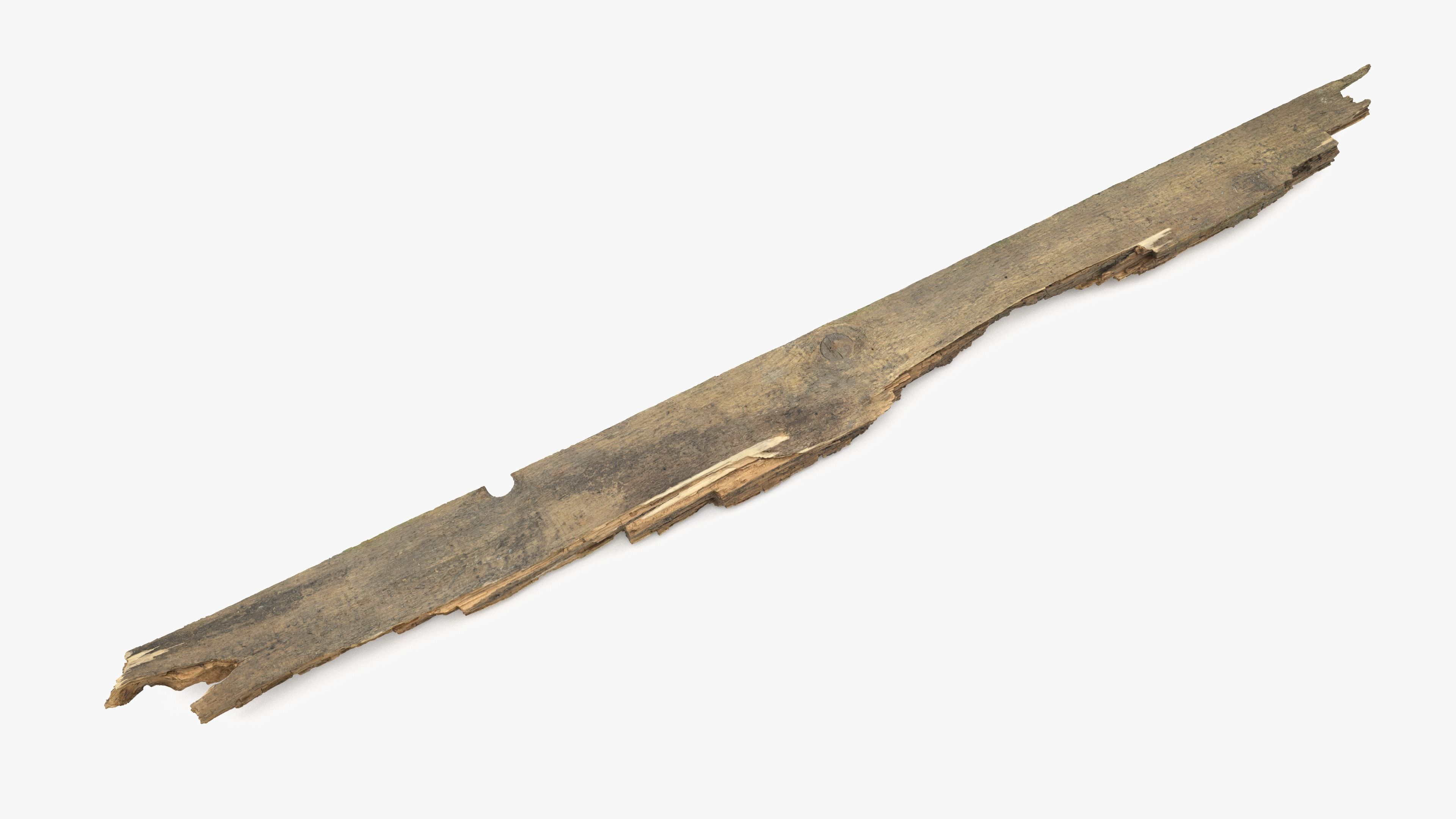 Rotten Plank Pale Low-poly 3D model_14