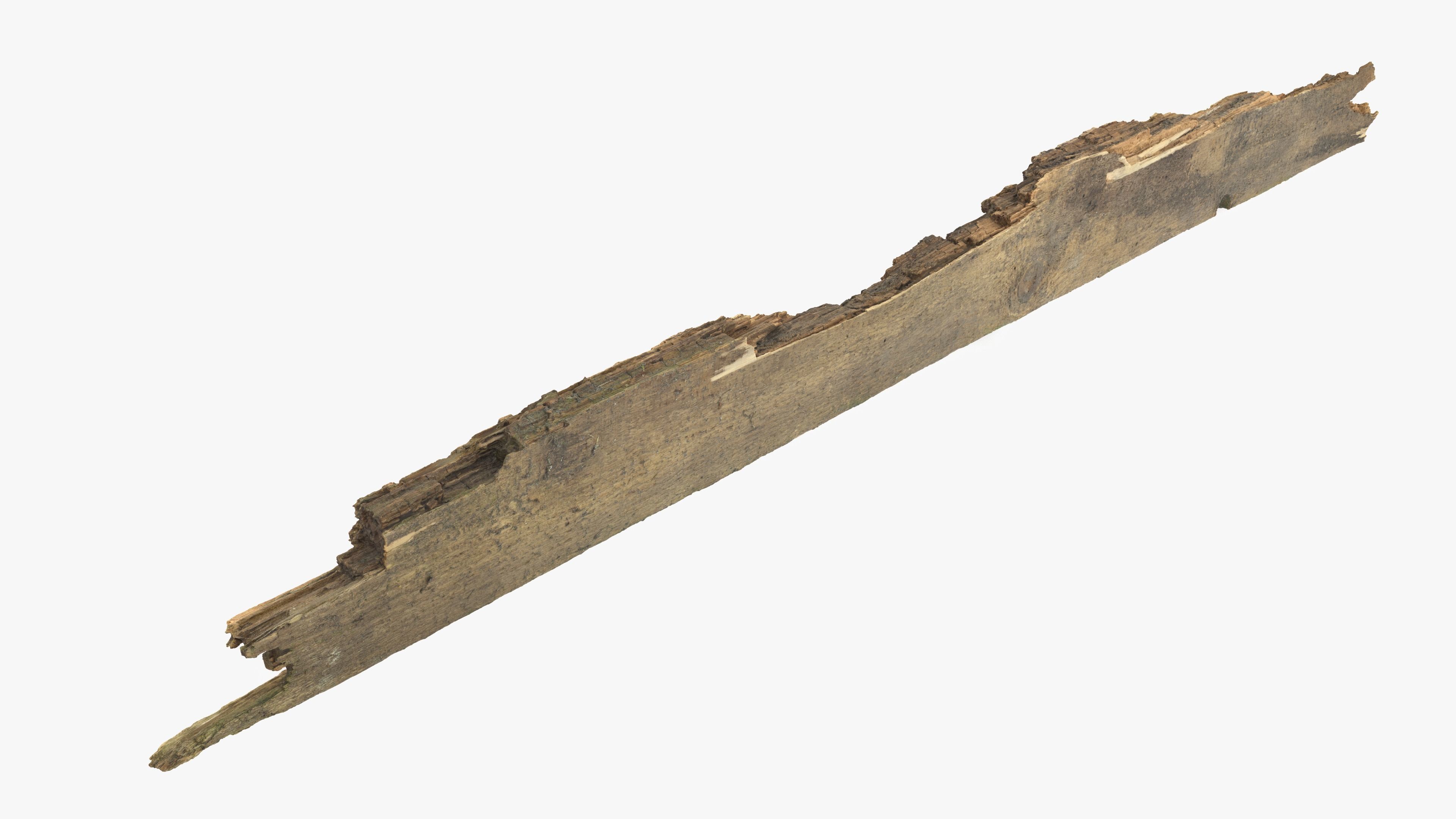 Rotten Plank Pale Low-poly 3D model_19