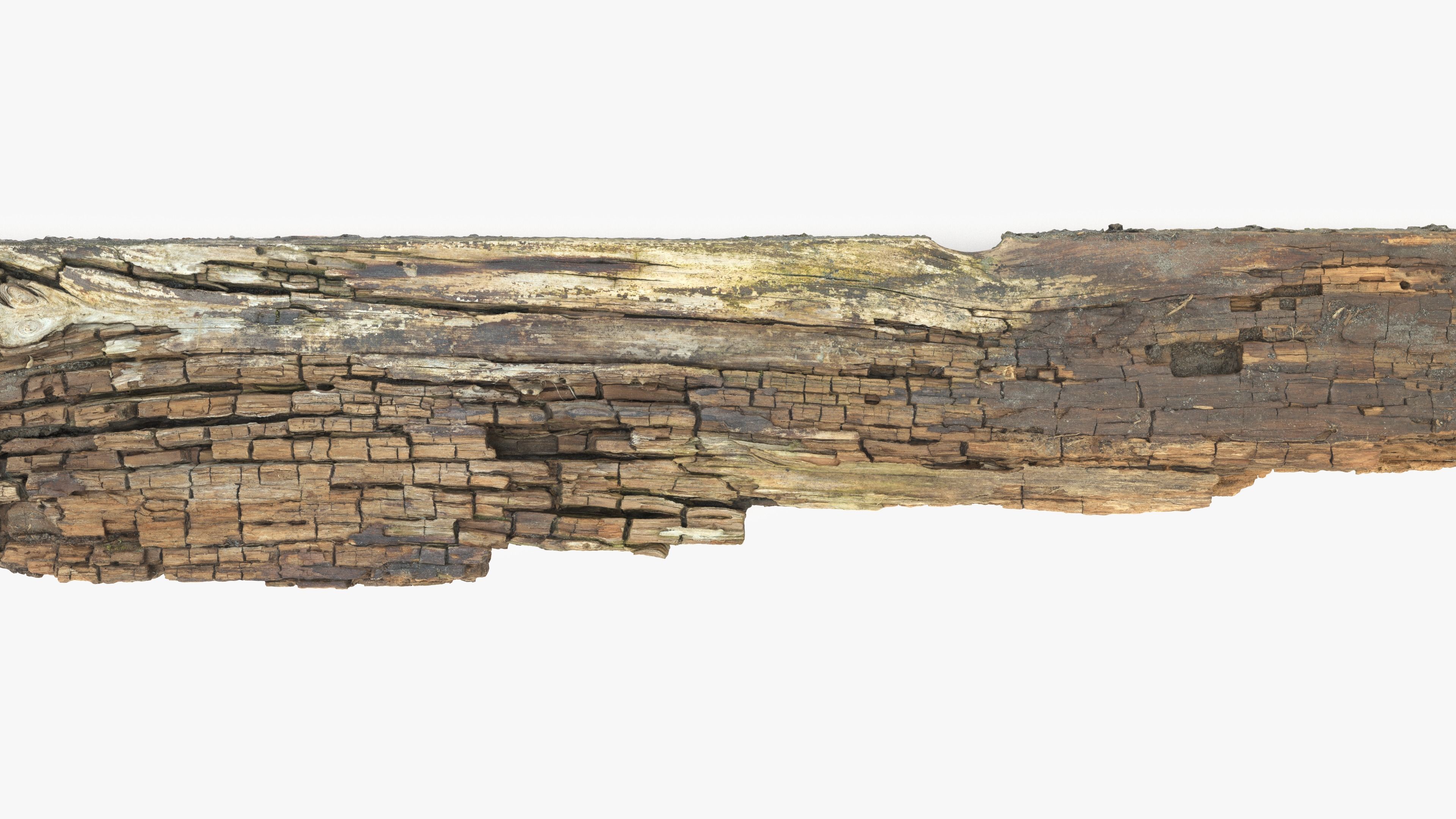 Rotten Plank Pale Low-poly 3D model_11