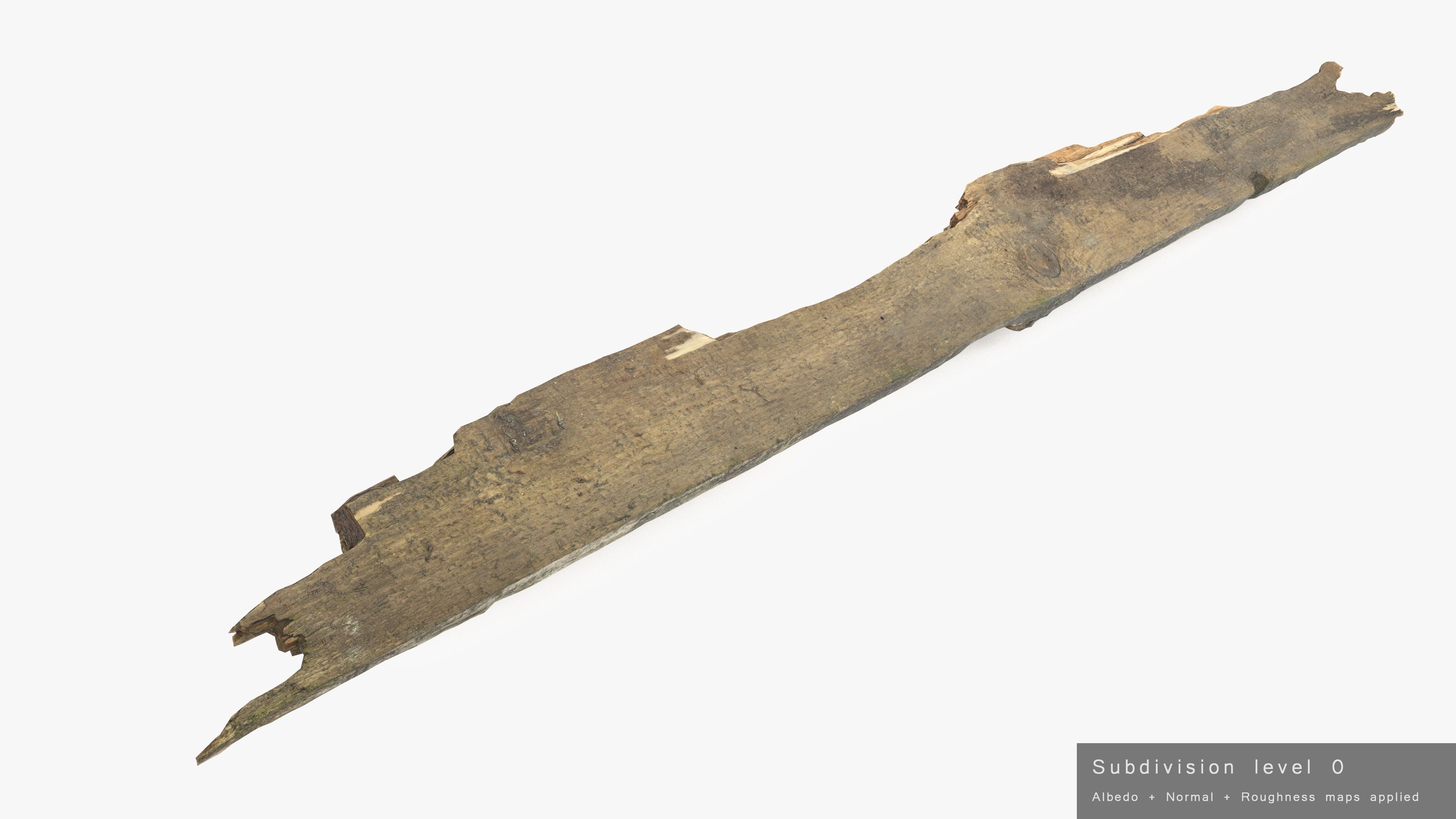Rotten Plank Pale Low-poly 3D model_25