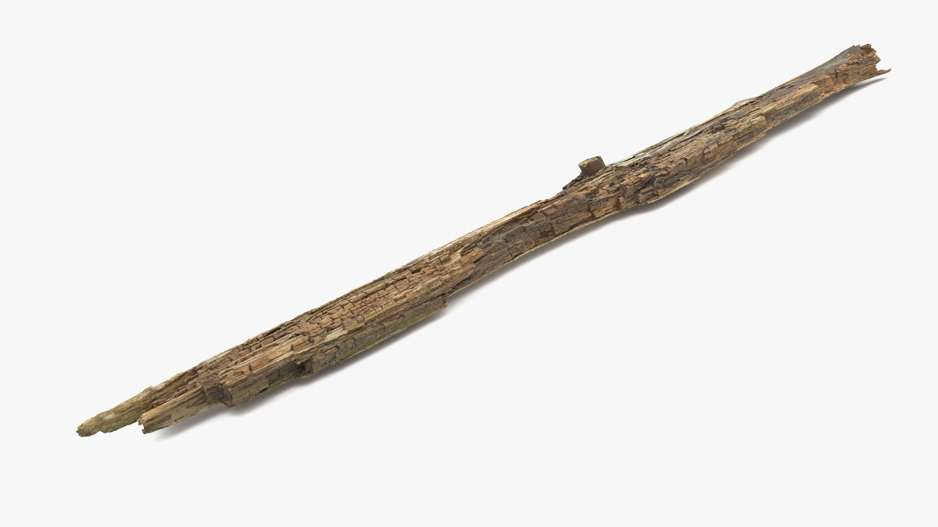 Rotten Plank Pale Low-poly 3D model_2