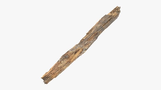 Rotten Plank with Lichen Low-poly 3D model