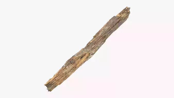 Rotten Plank with Lichen