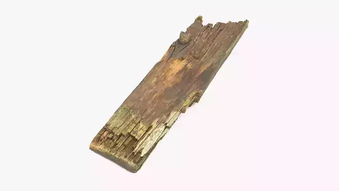 Rotten Plank Short Broken