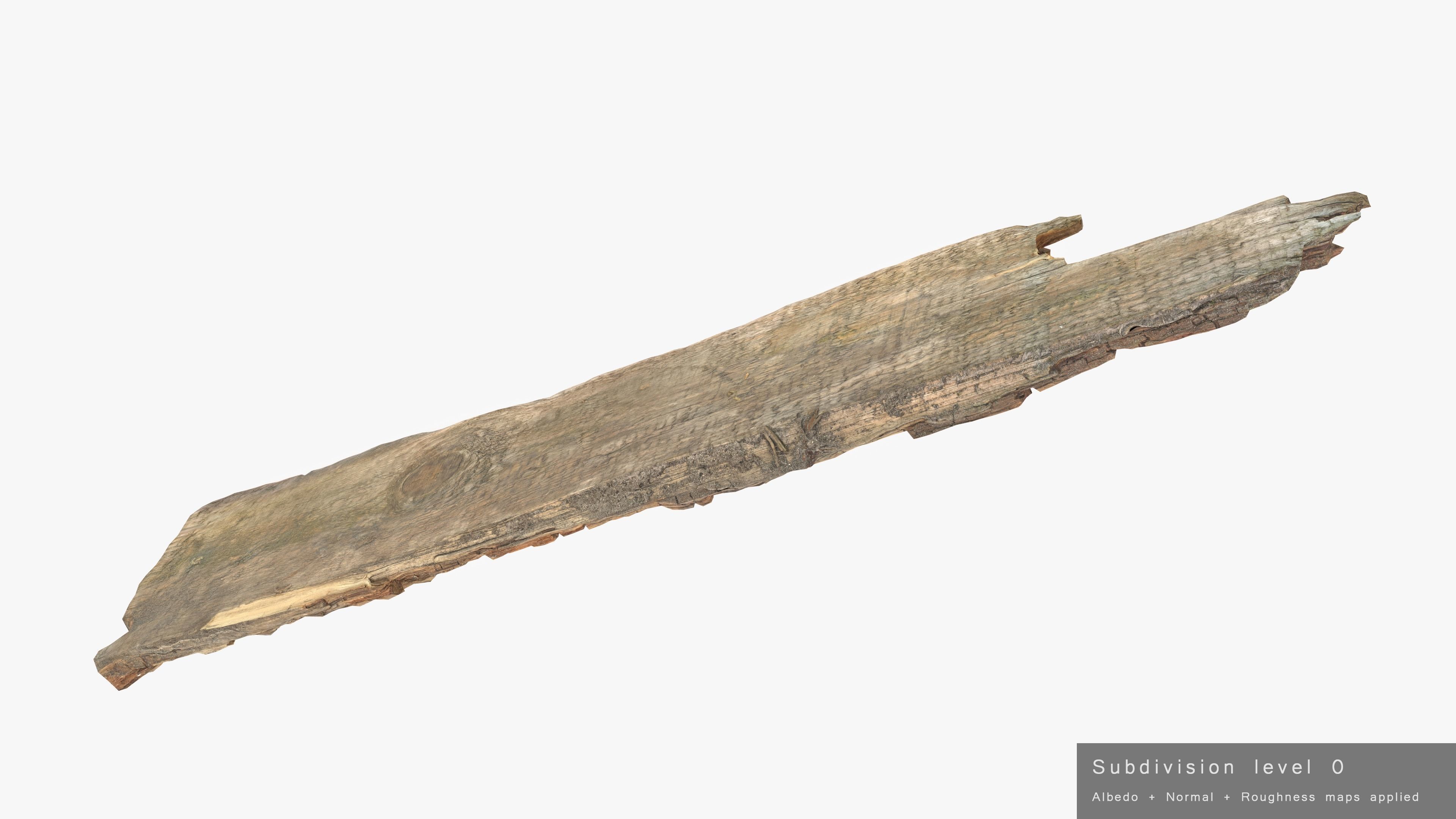 Rotten Plank Short Disintegrated Low-poly 3D model_20