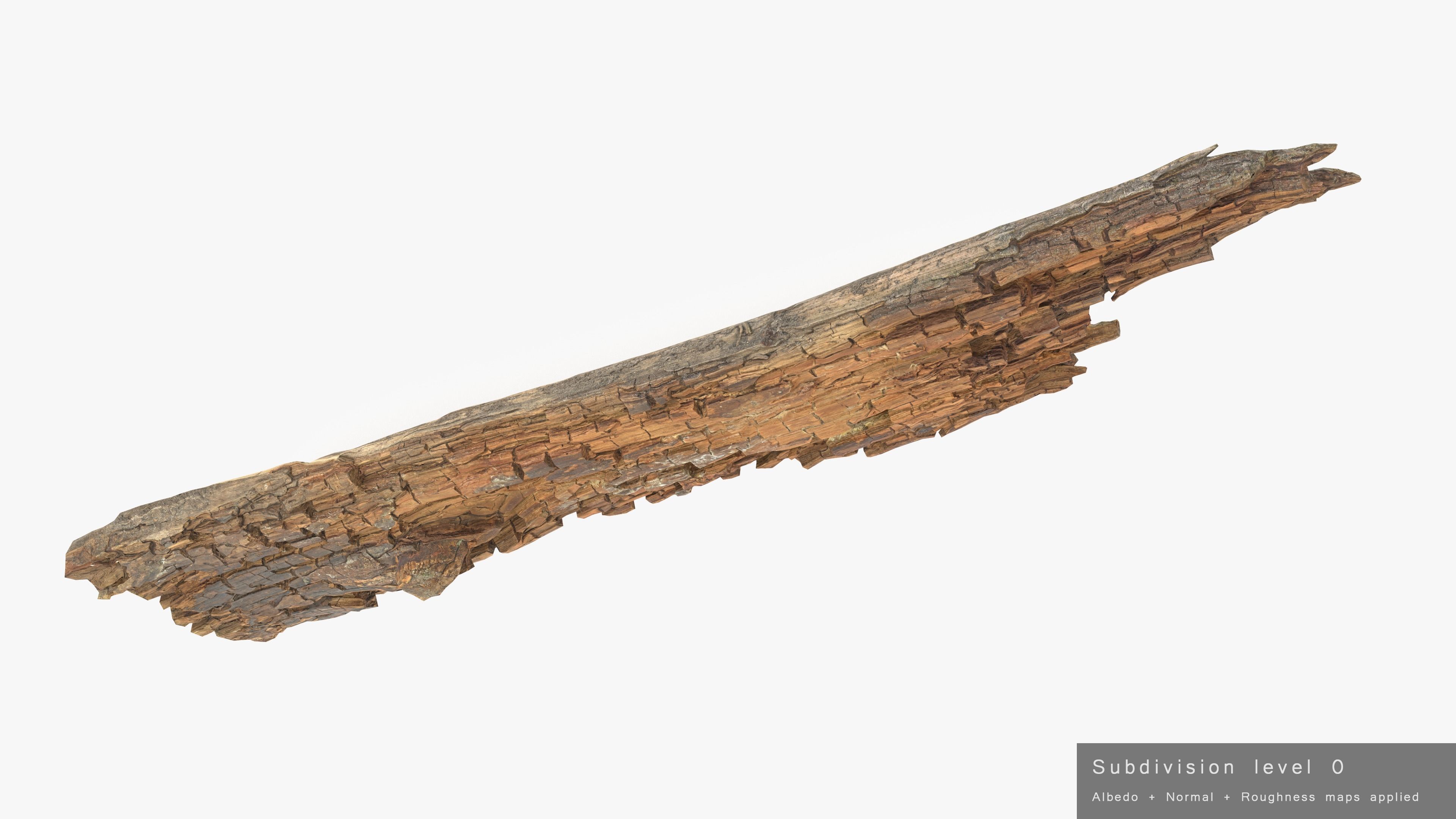 Rotten Plank Short Disintegrated Low-poly 3D model_19
