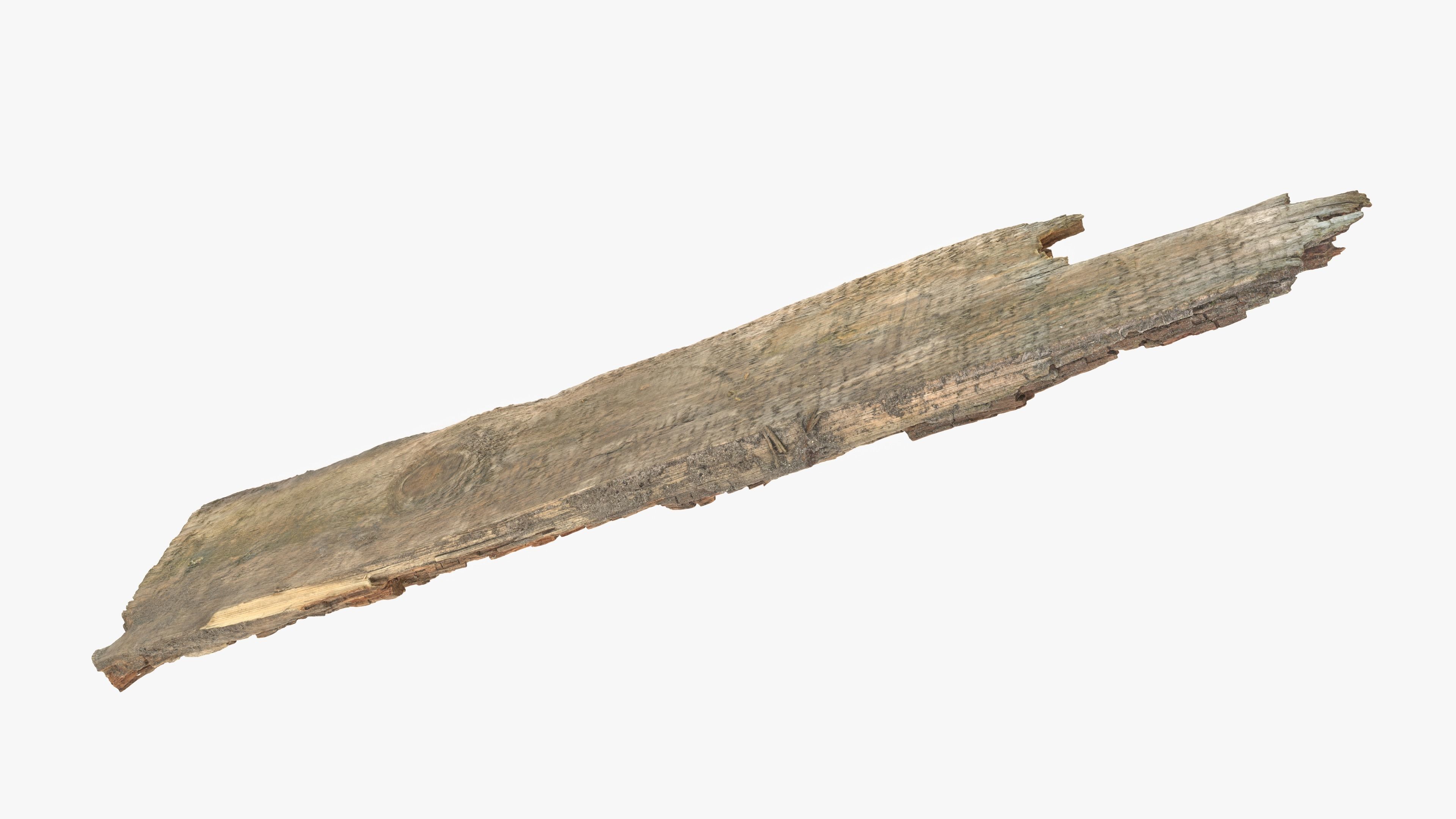 Rotten Plank Short Disintegrated Low-poly 3D model_13