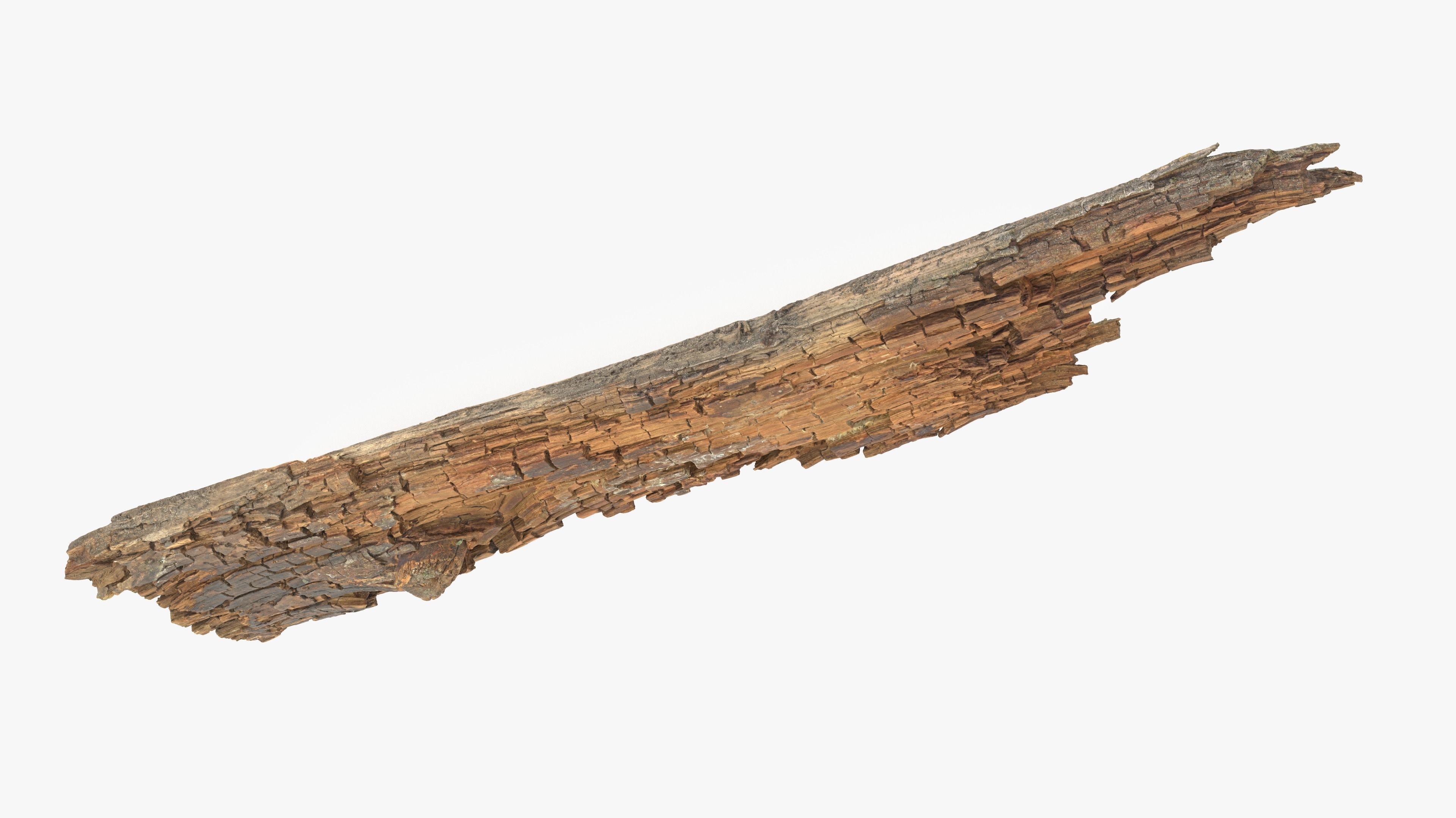 Rotten Plank Short Disintegrated Low-poly 3D model_12