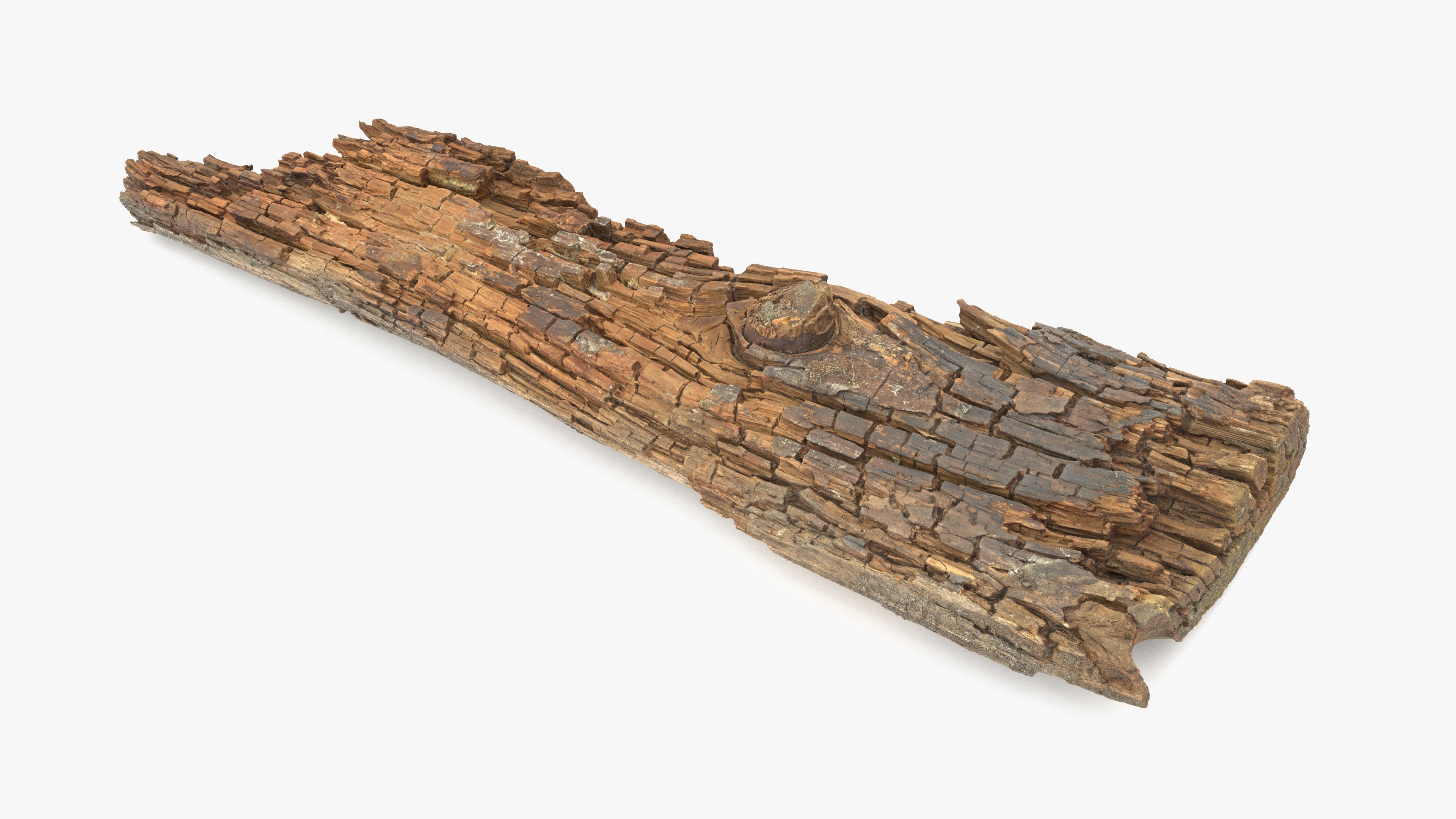 Rotten Plank Short Disintegrated Low-poly 3D model_4