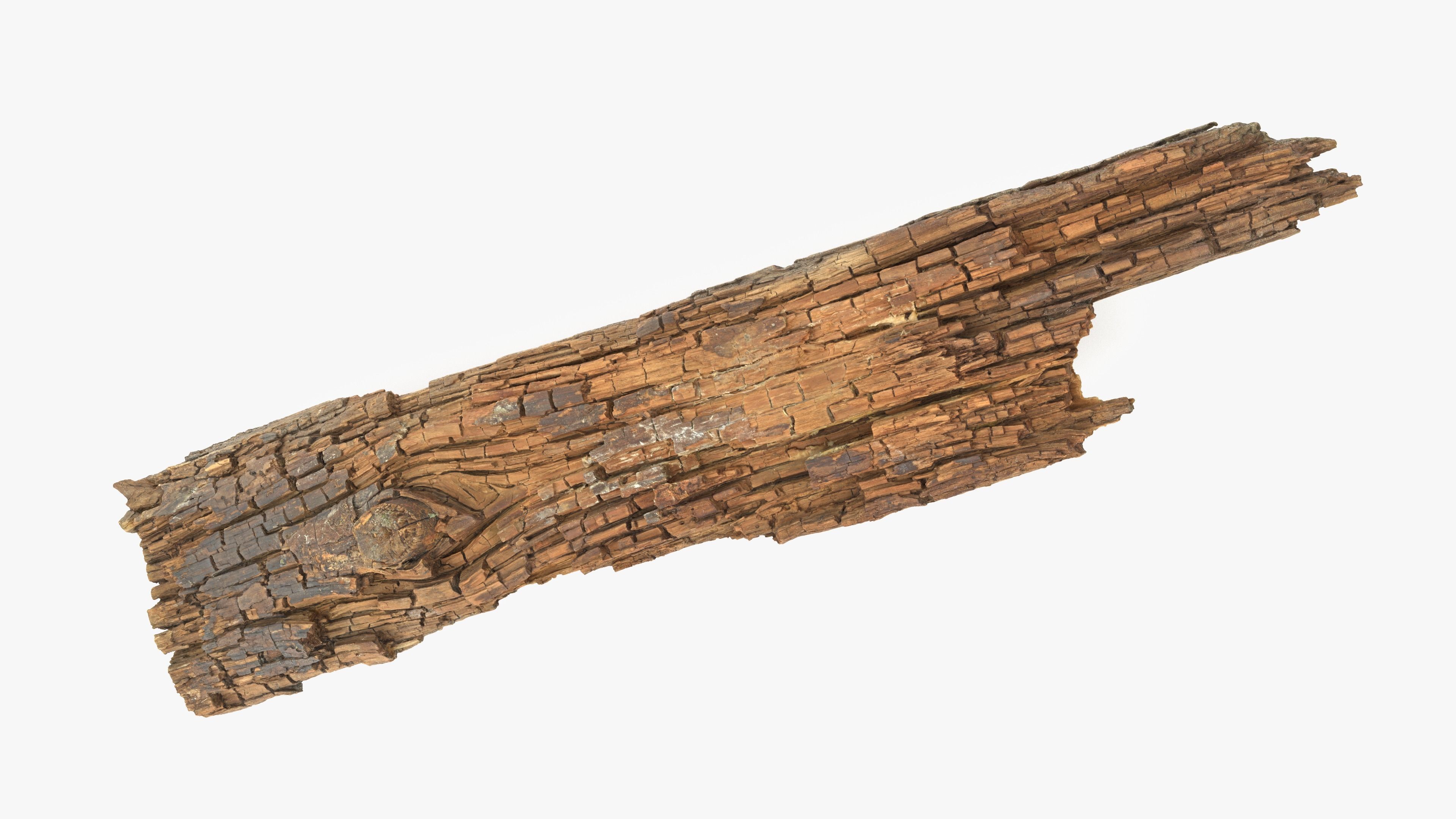 Rotten Plank Short Disintegrated Low-poly 3D model_11