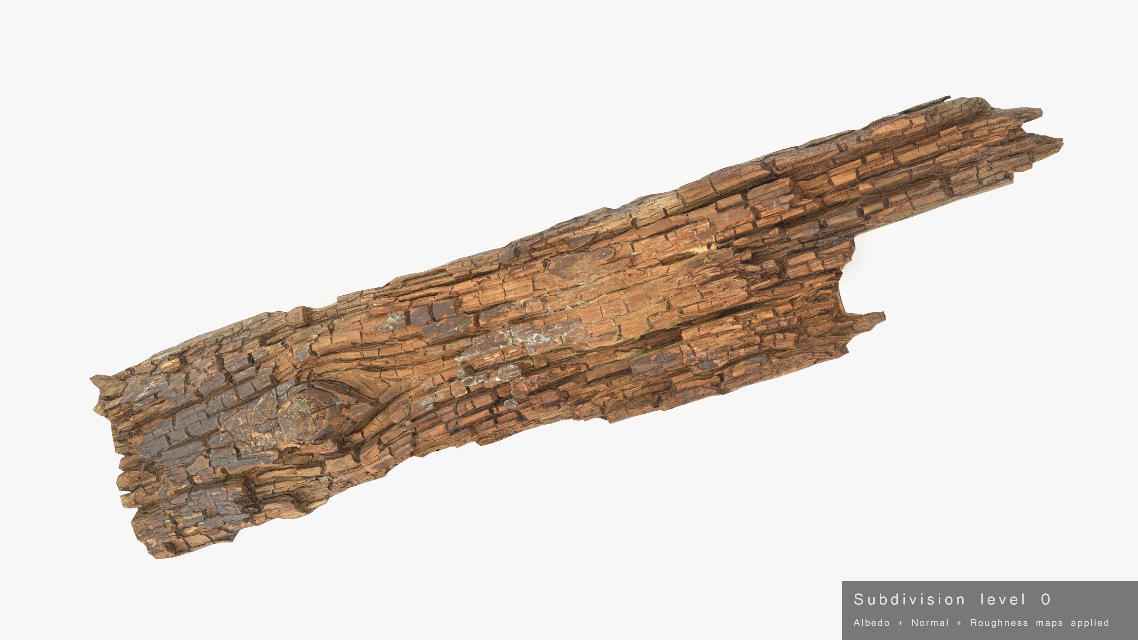 Rotten Plank Short Disintegrated Low-poly 3D model_18