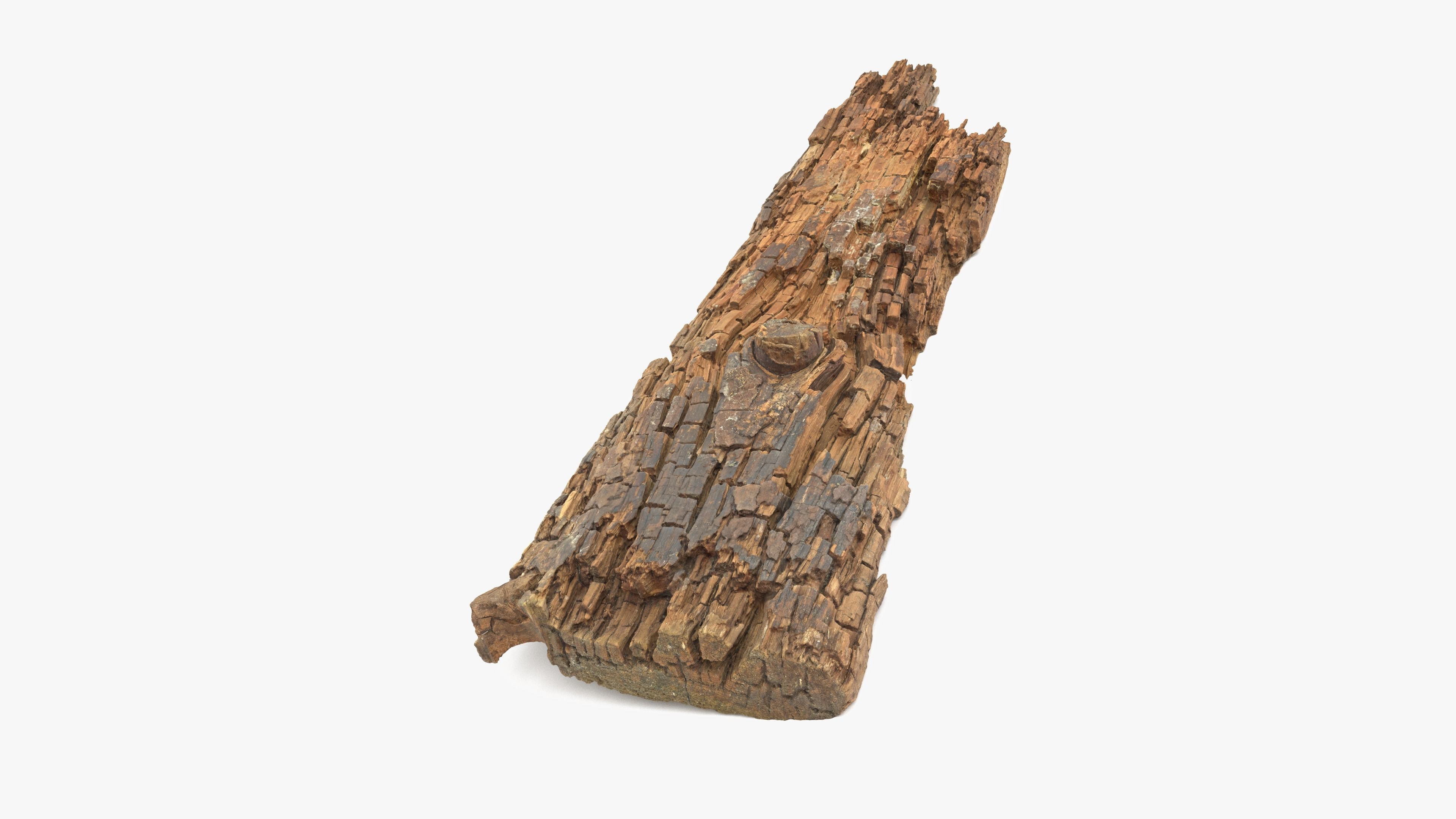 Rotten Plank Short Disintegrated Low-poly 3D model_3