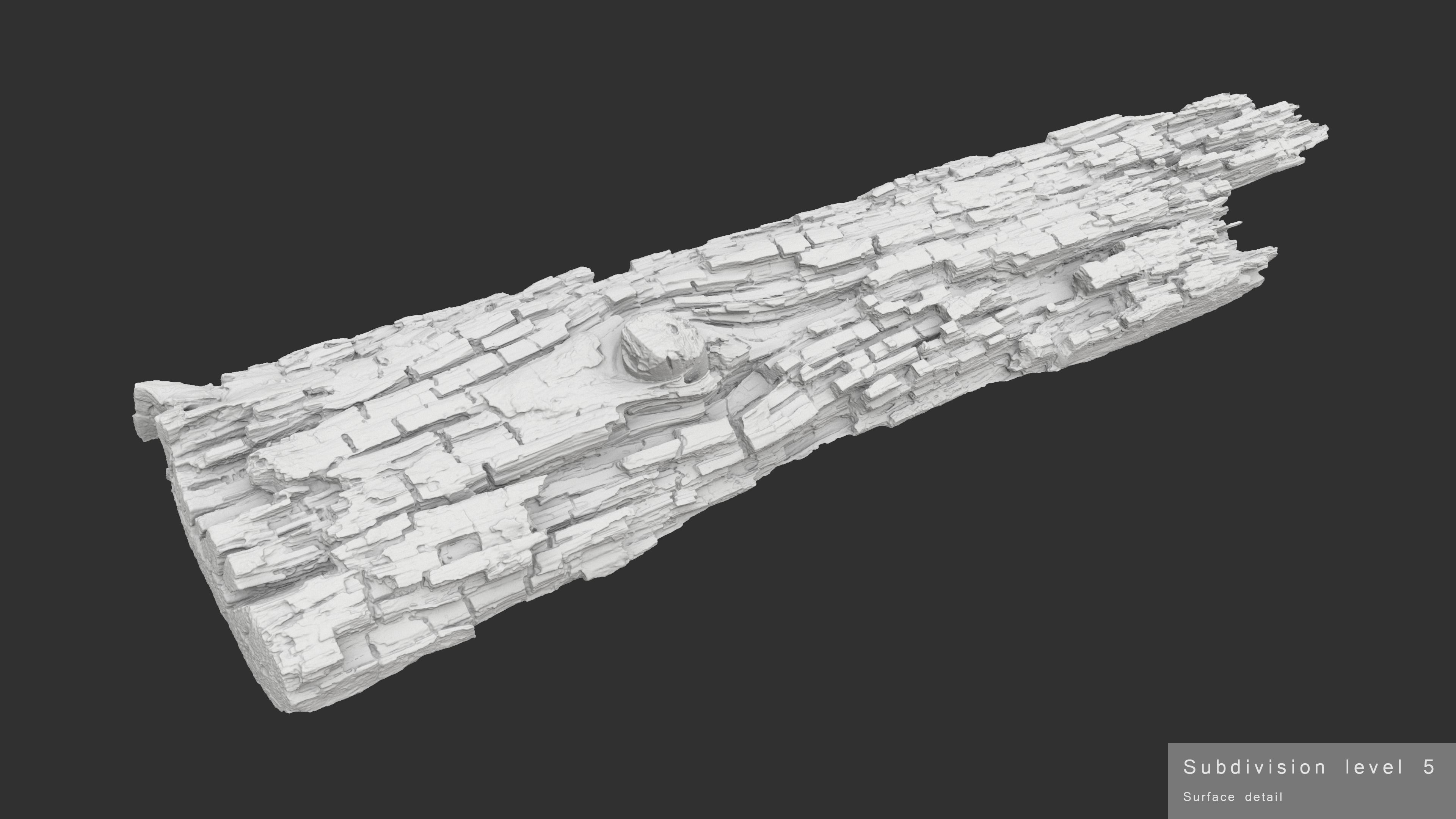 Rotten Plank Short Disintegrated Low-poly 3D model_17