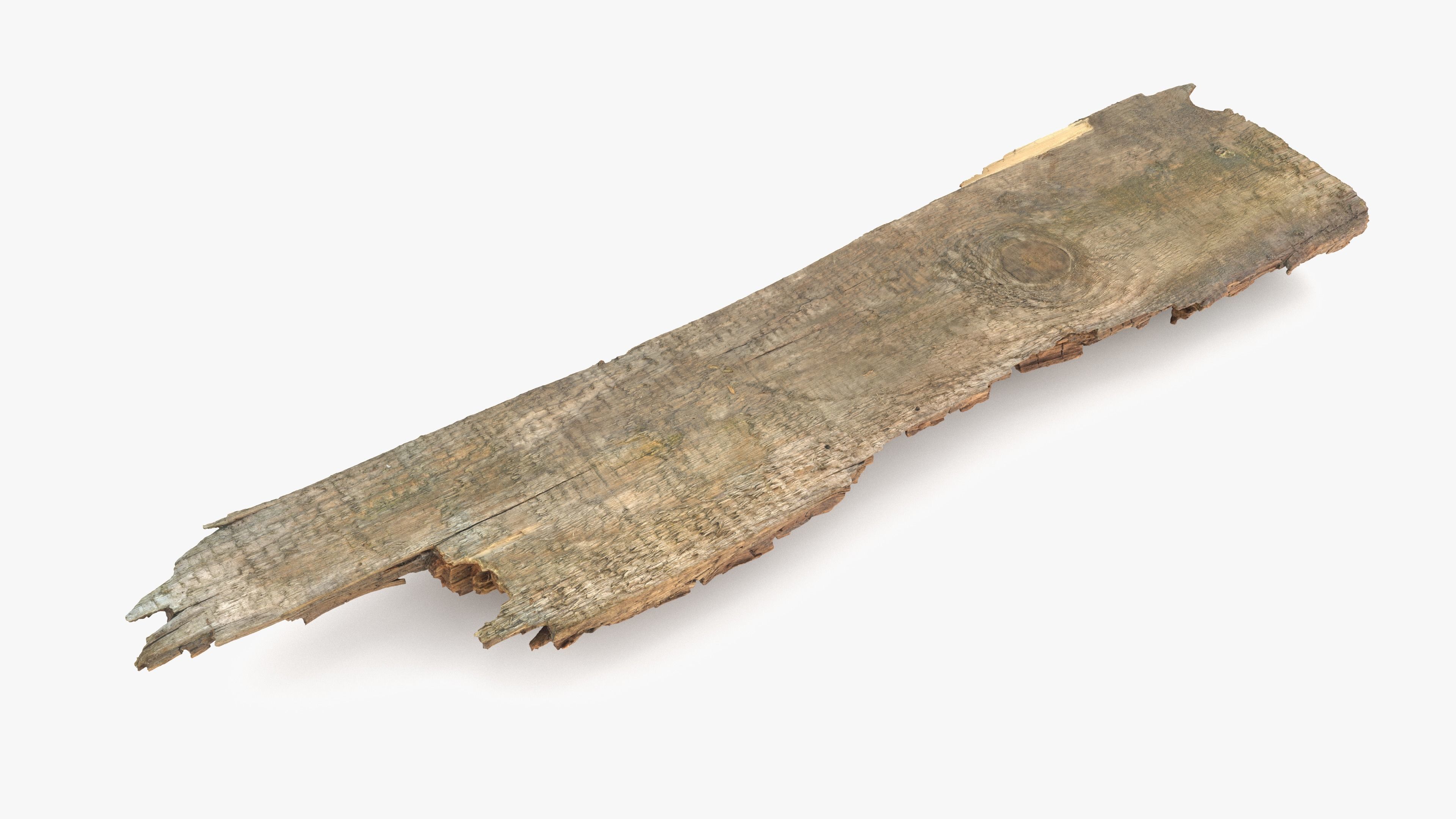 Rotten Plank Short Disintegrated Low-poly 3D model_9