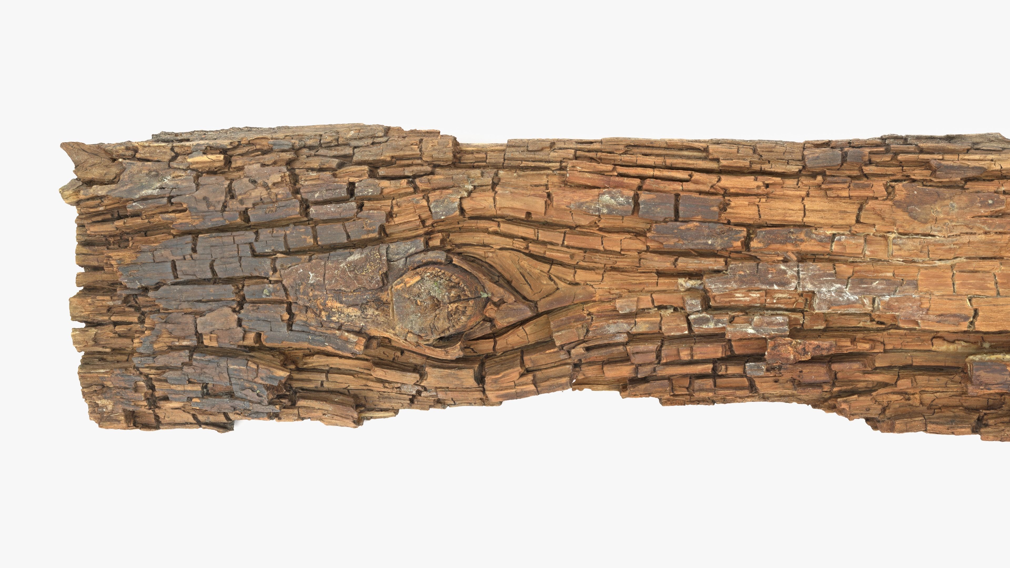 Rotten Plank Short Disintegrated Low-poly 3D model_5