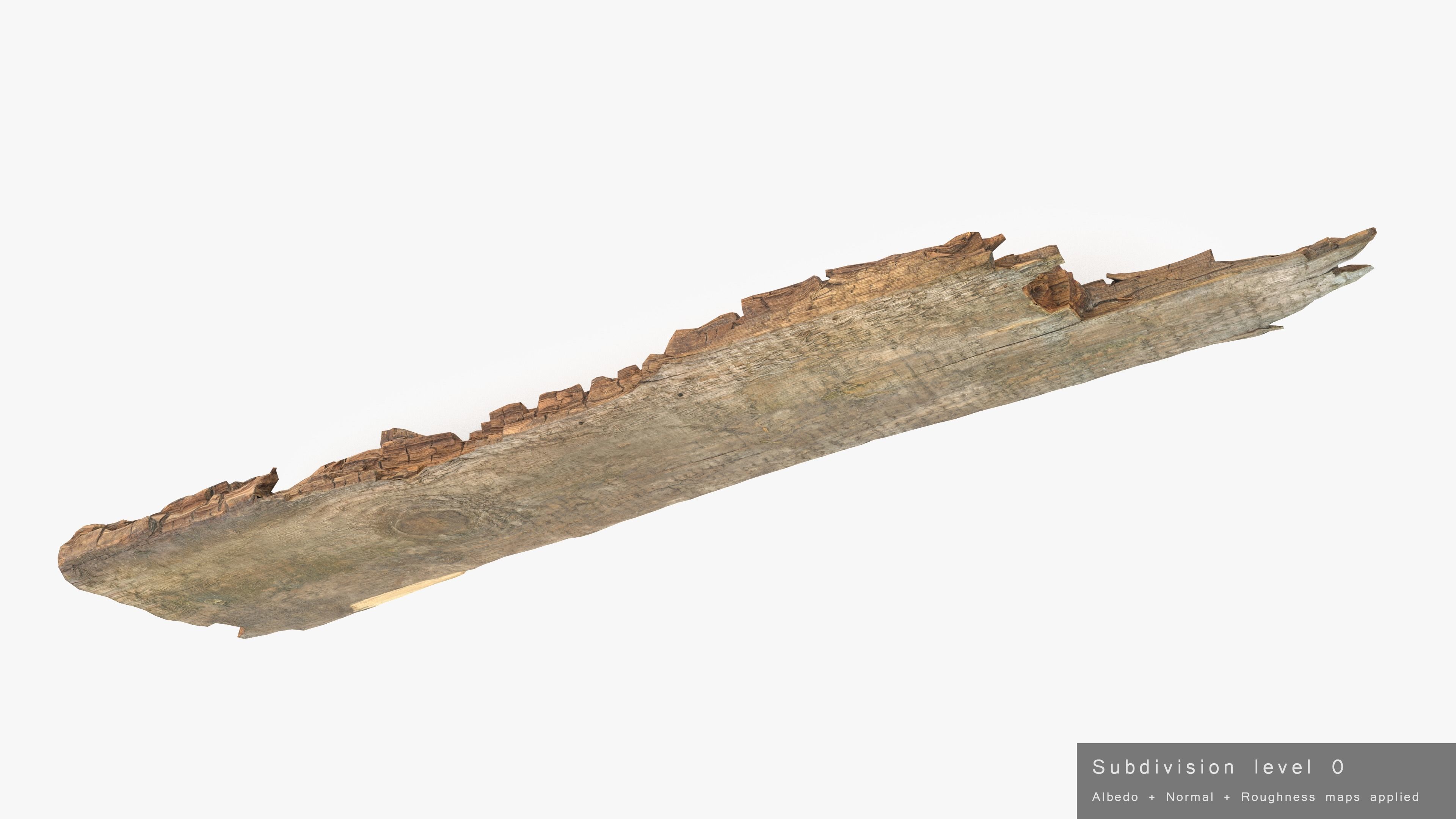 Rotten Plank Short Disintegrated Low-poly 3D model_22