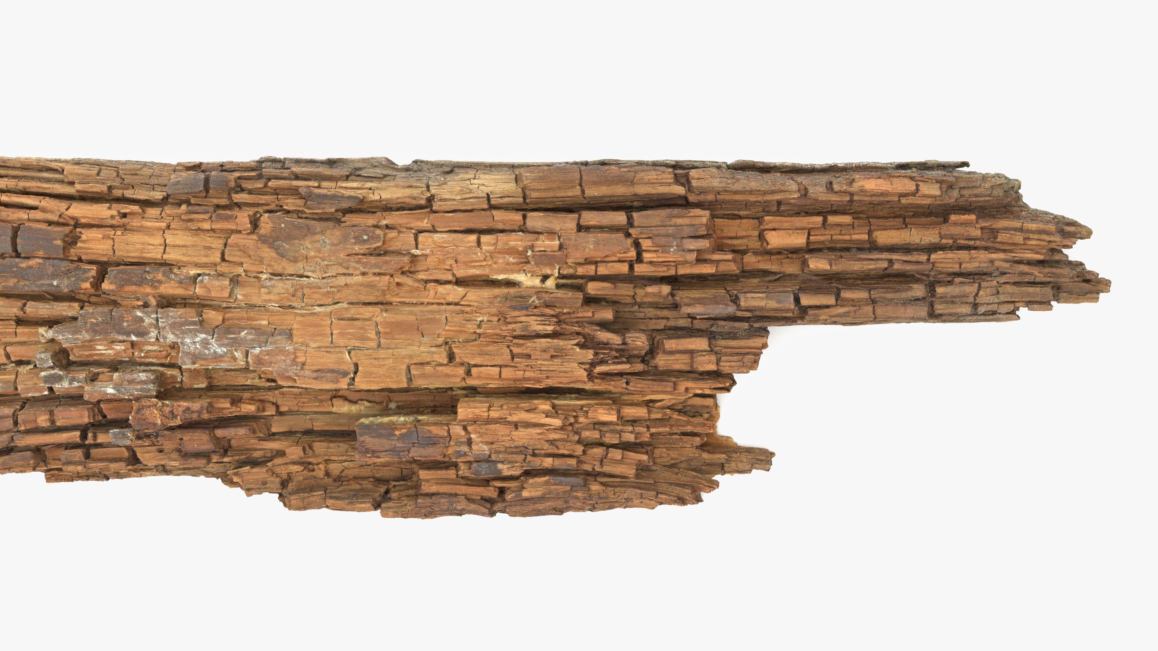 Rotten Plank Short Disintegrated Low-poly 3D model_6