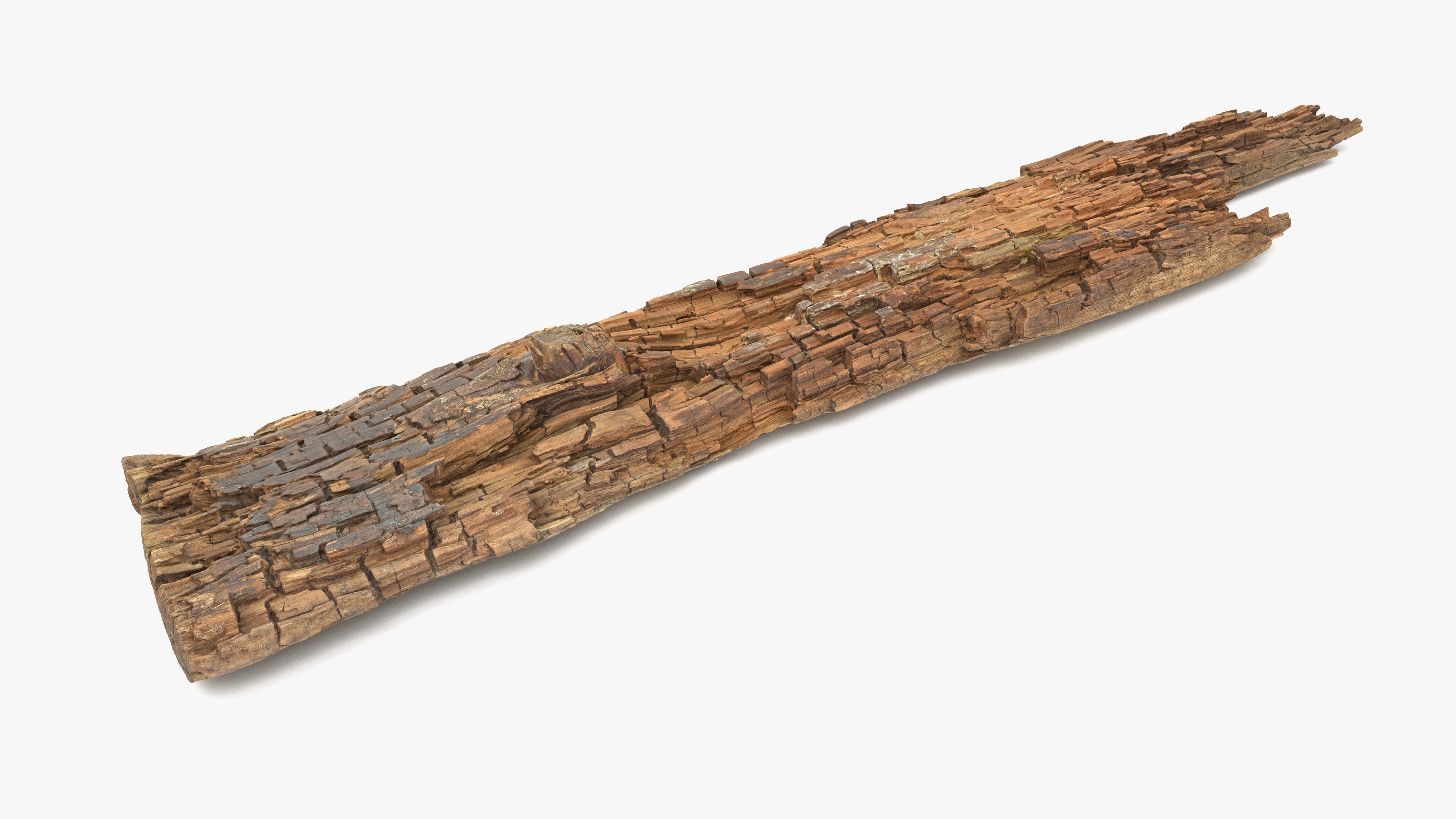 Rotten Plank Short Disintegrated Low-poly 3D model_1