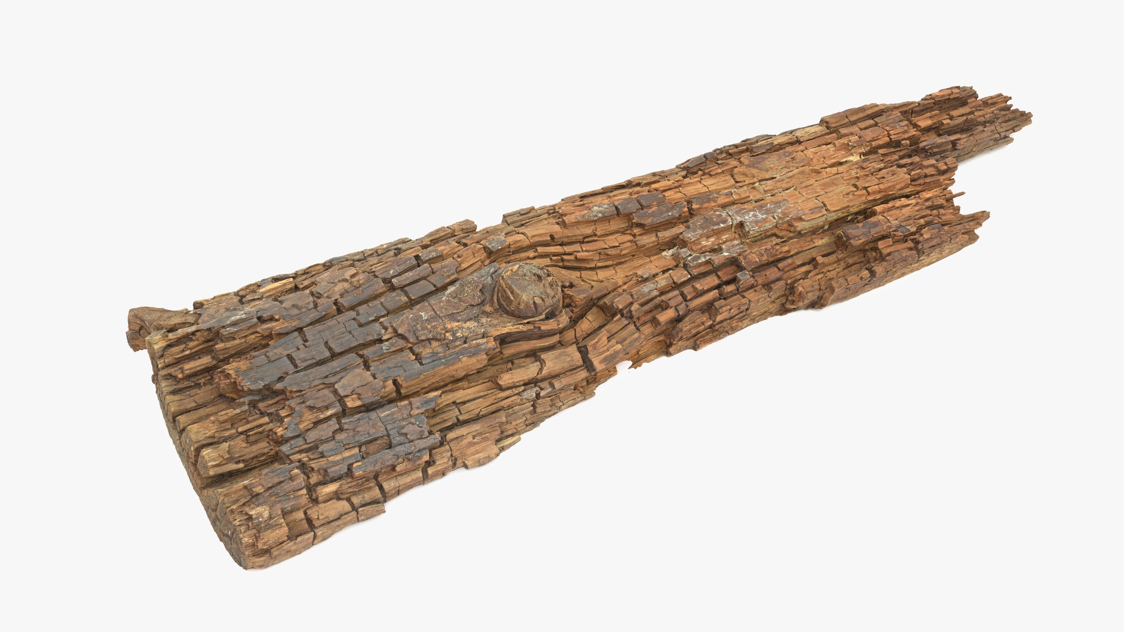 Rotten Plank Short Disintegrated Low-poly 3D model_2
