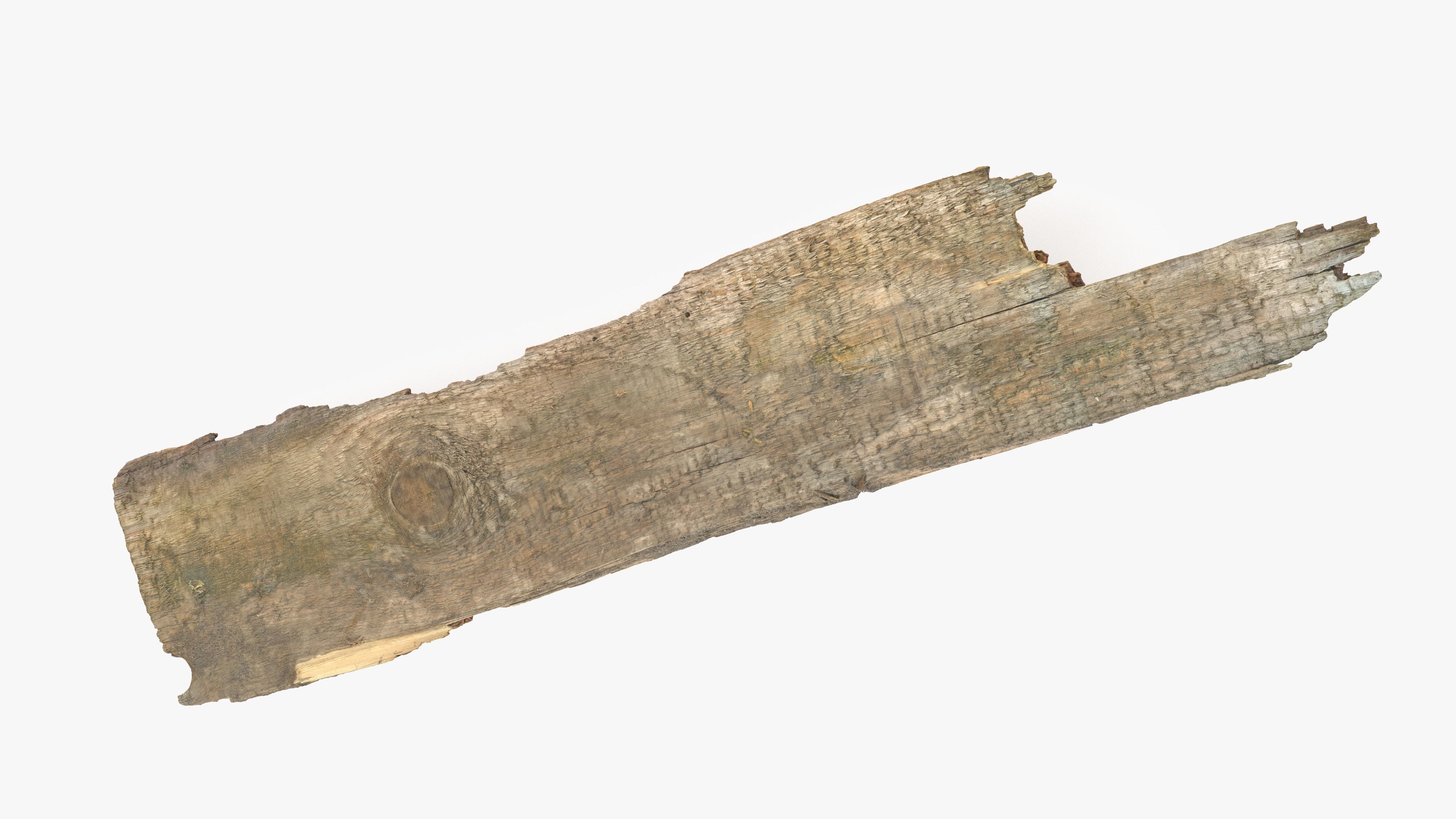 Rotten Plank Short Disintegrated Low-poly 3D model_14