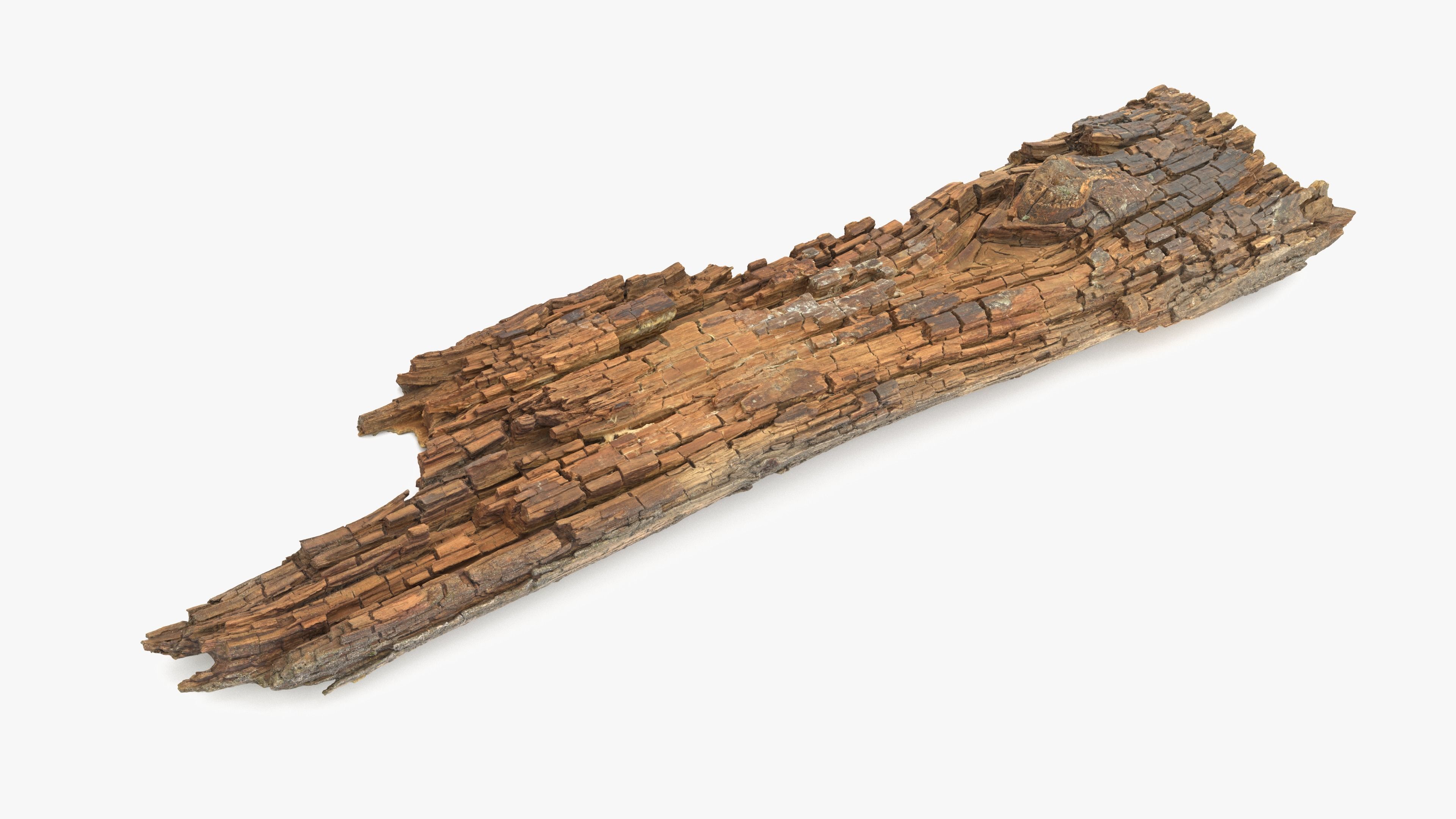 Rotten Plank Short Disintegrated Low-poly 3D model_8