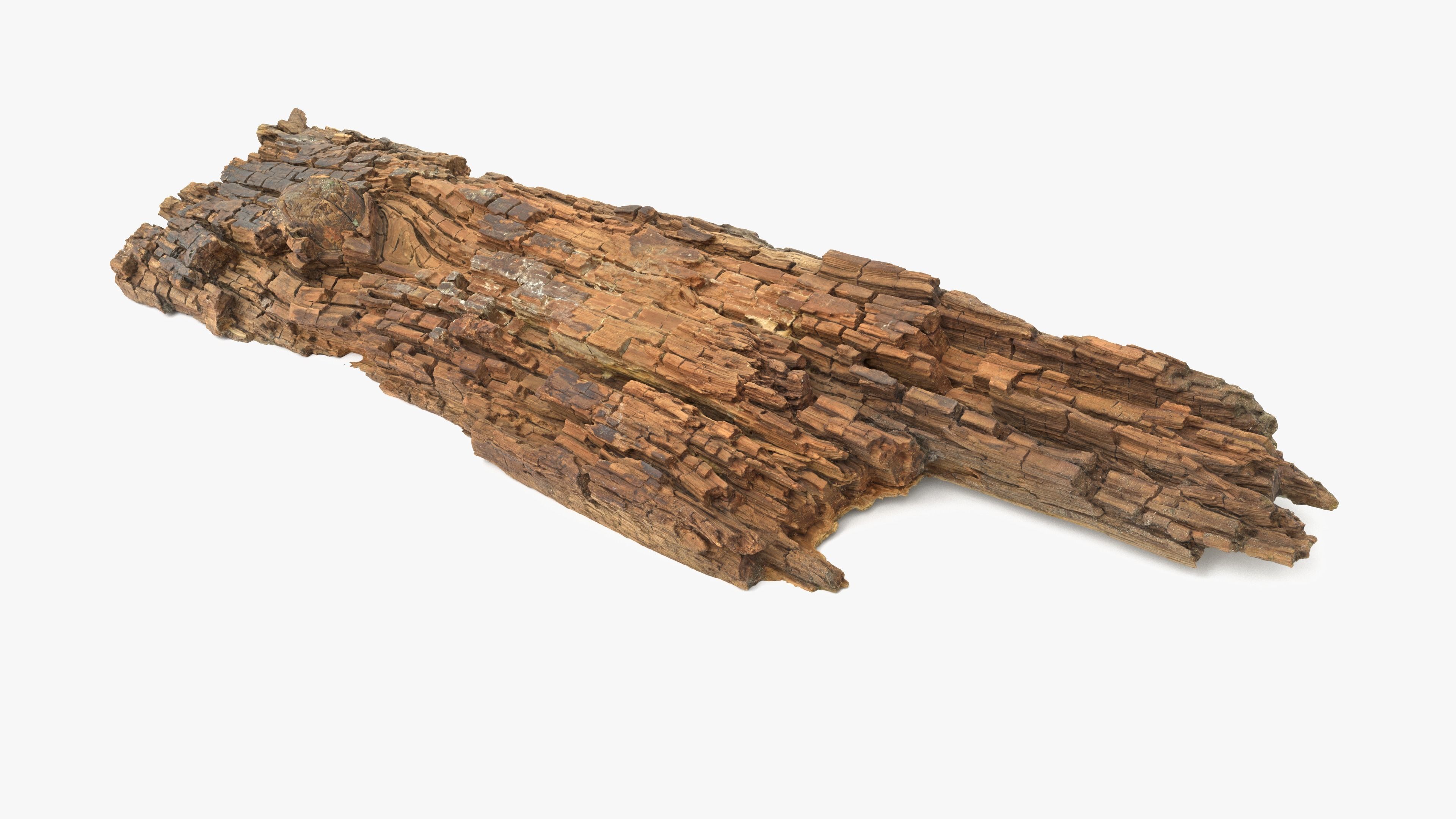 Rotten Plank Short Disintegrated Low-poly 3D model_7