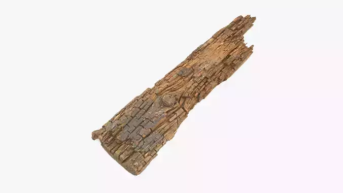 Rotten Plank Short Disintegrated