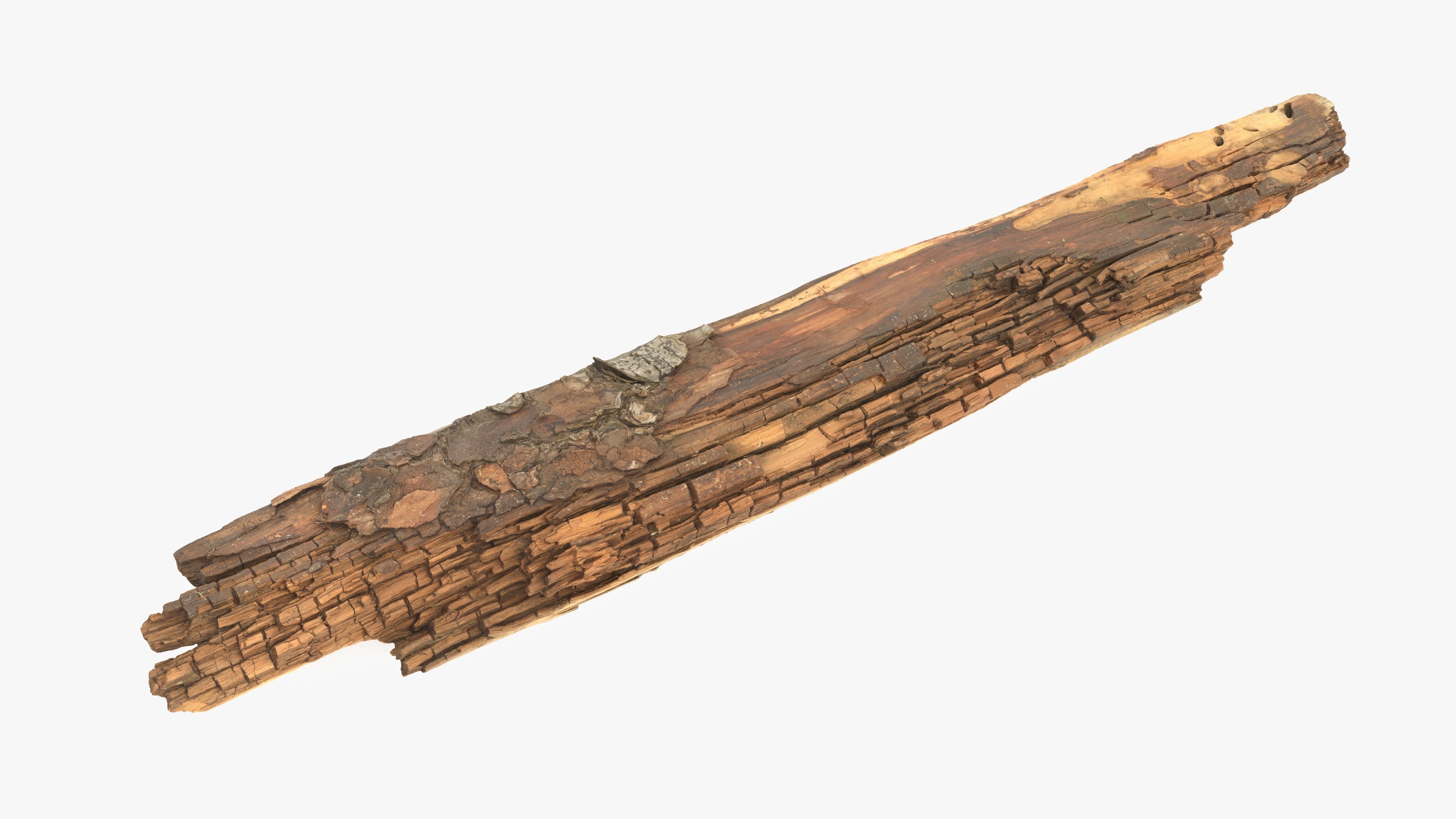Rotten Plank Short Small Low-poly 3D model_12