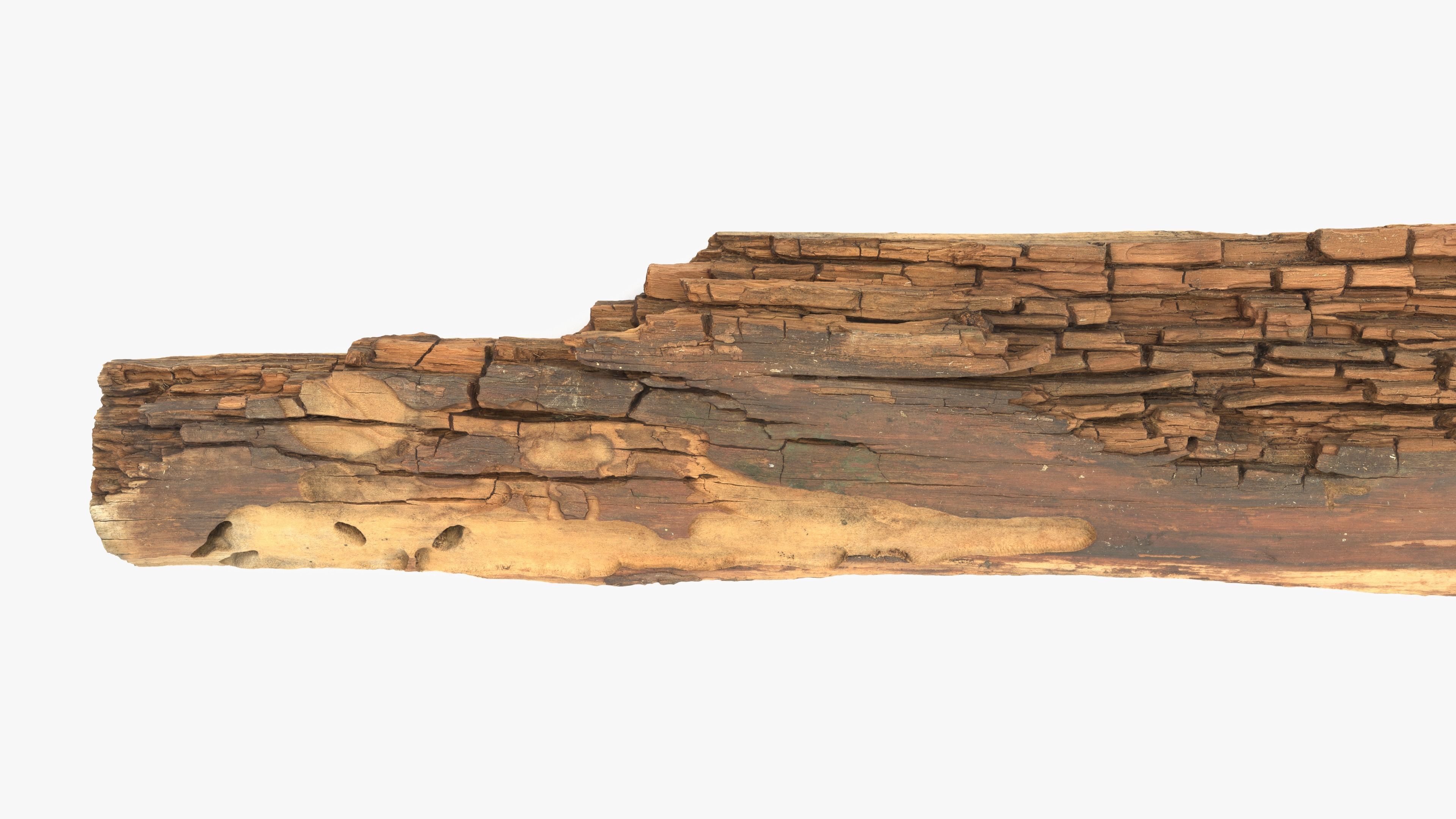 Rotten Plank Short Small Low-poly 3D model_7