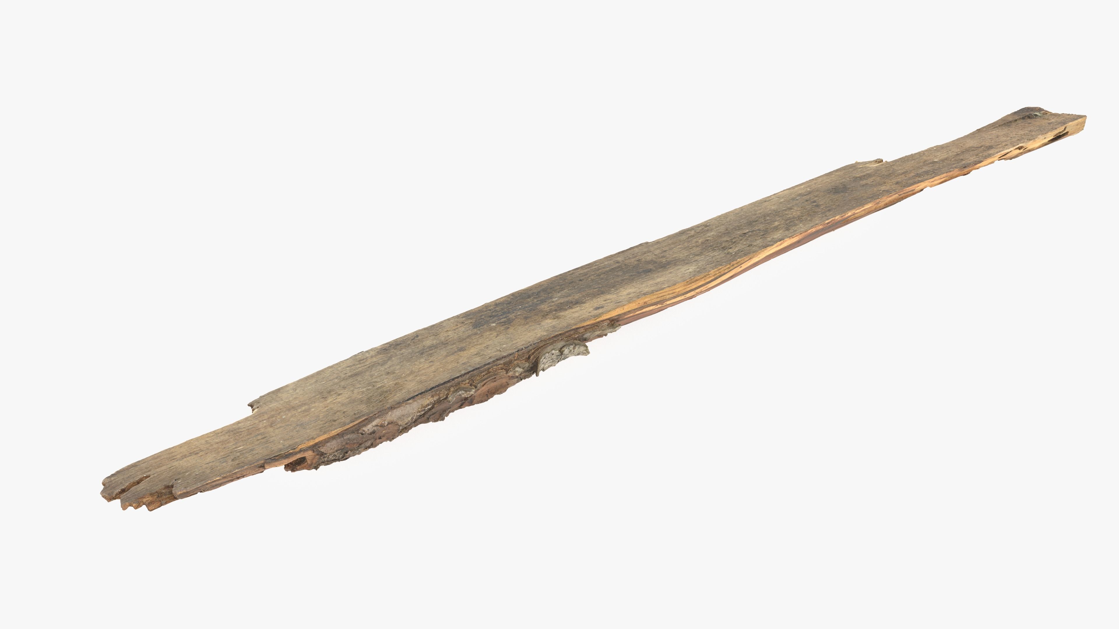 Rotten Plank Short Small Low-poly 3D model_14