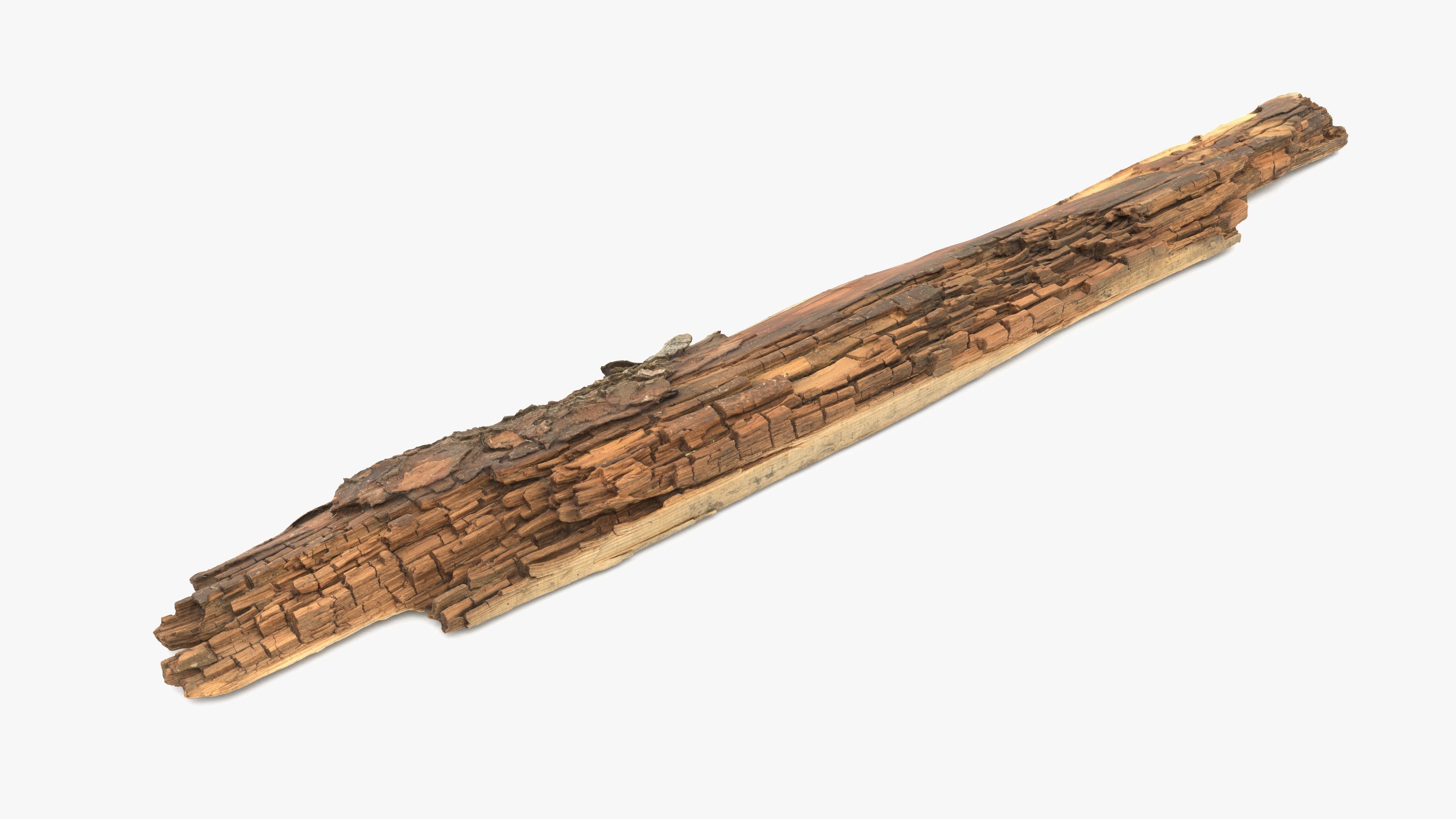 Rotten Plank Short Small Low-poly 3D model_1