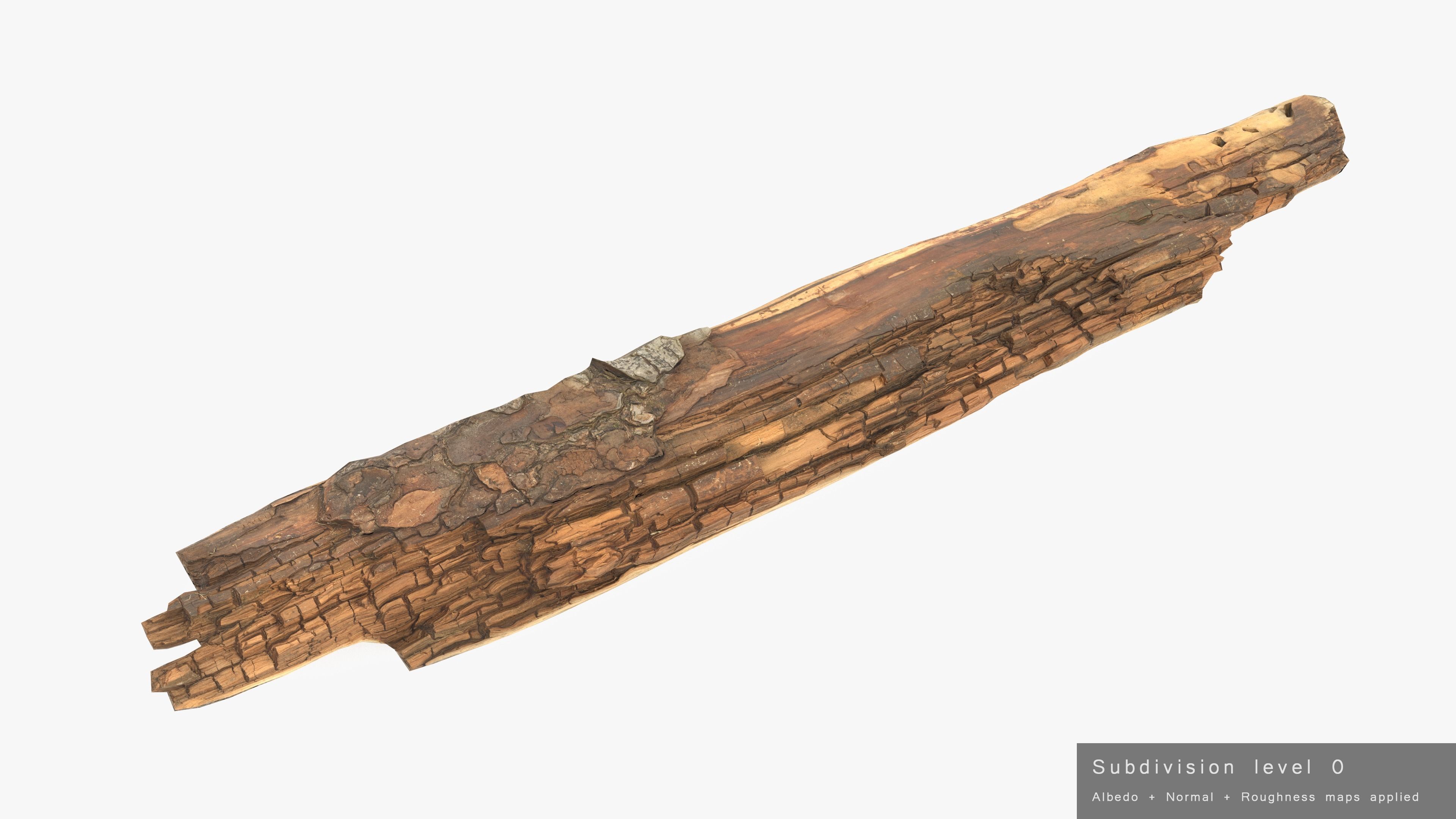 Rotten Plank Short Small Low-poly 3D model_19