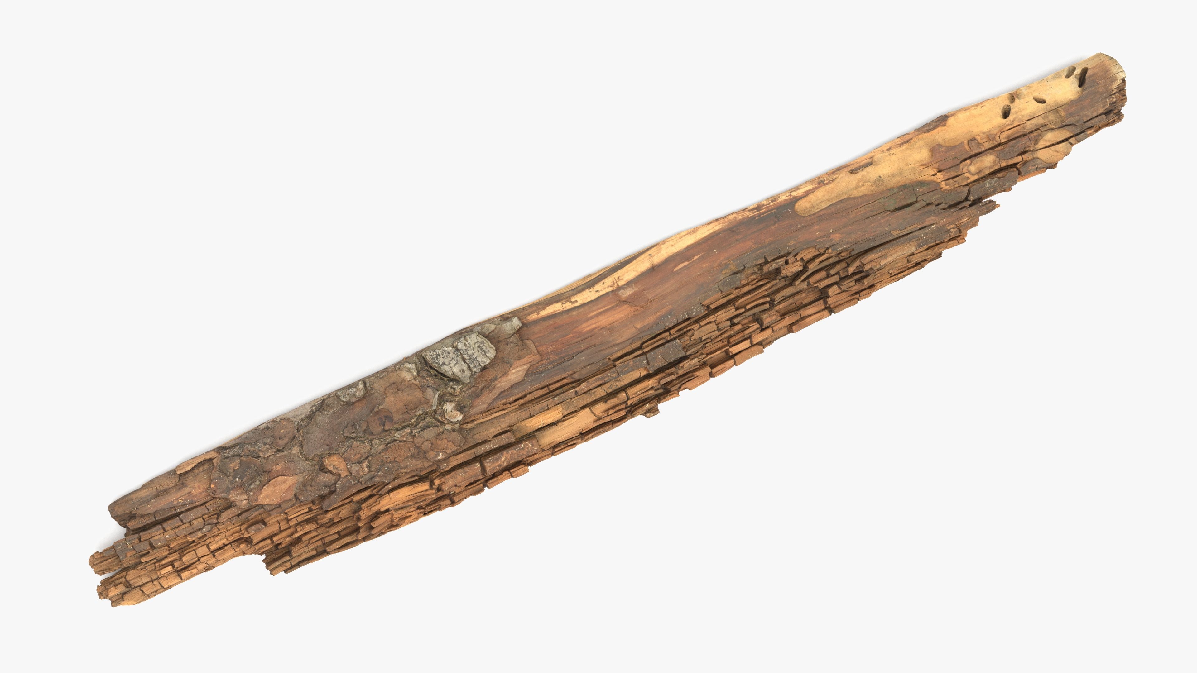 Rotten Plank Short Small Low-poly 3D model_3