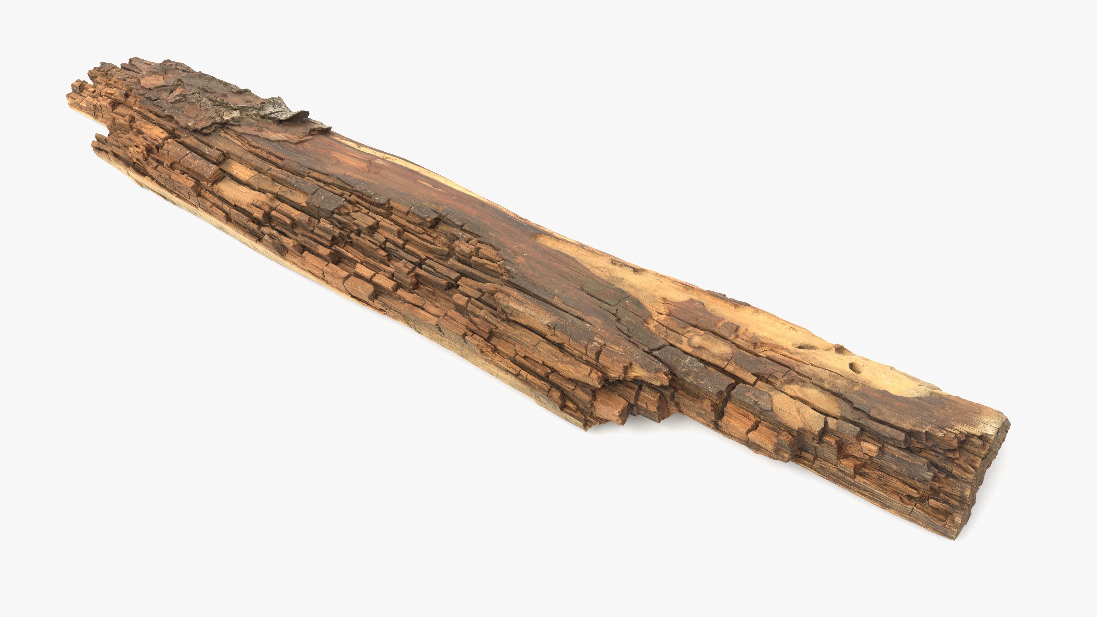 Rotten Plank Short Small Low-poly 3D model_6