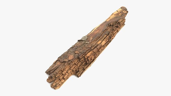 Rotten Plank Short Small Low-poly 3D model