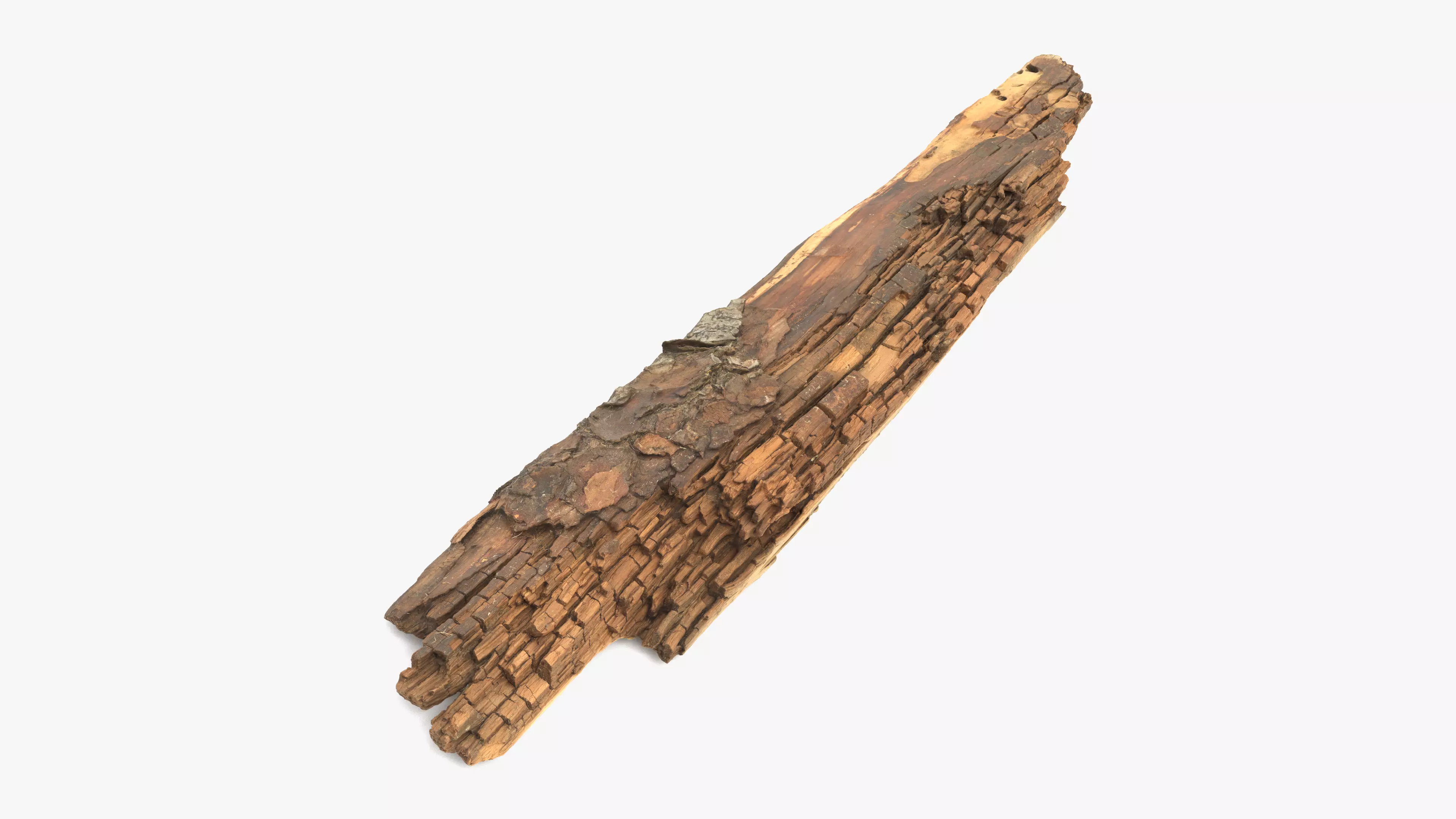 Rotten Plank Short Small Low-poly 3D model_0