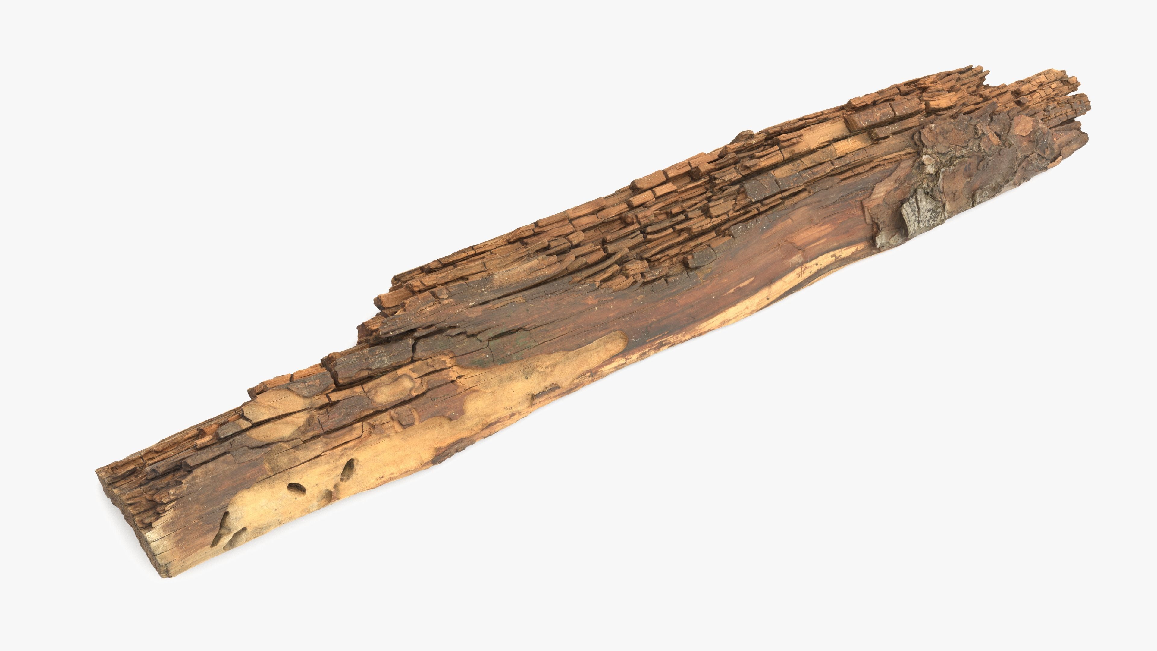 Rotten Plank Short Small Low-poly 3D model_5
