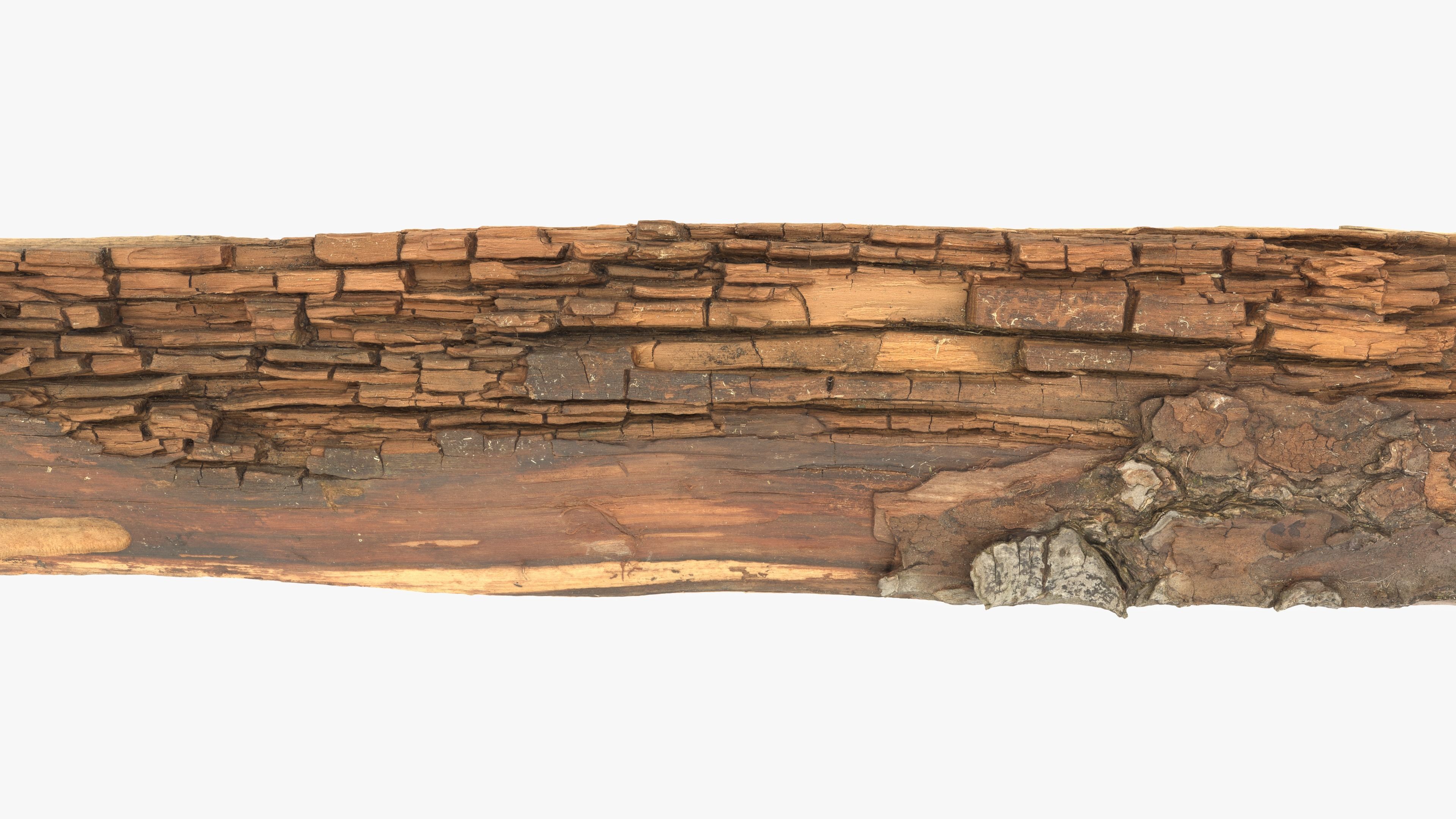 Rotten Plank Short Small Low-poly 3D model_8