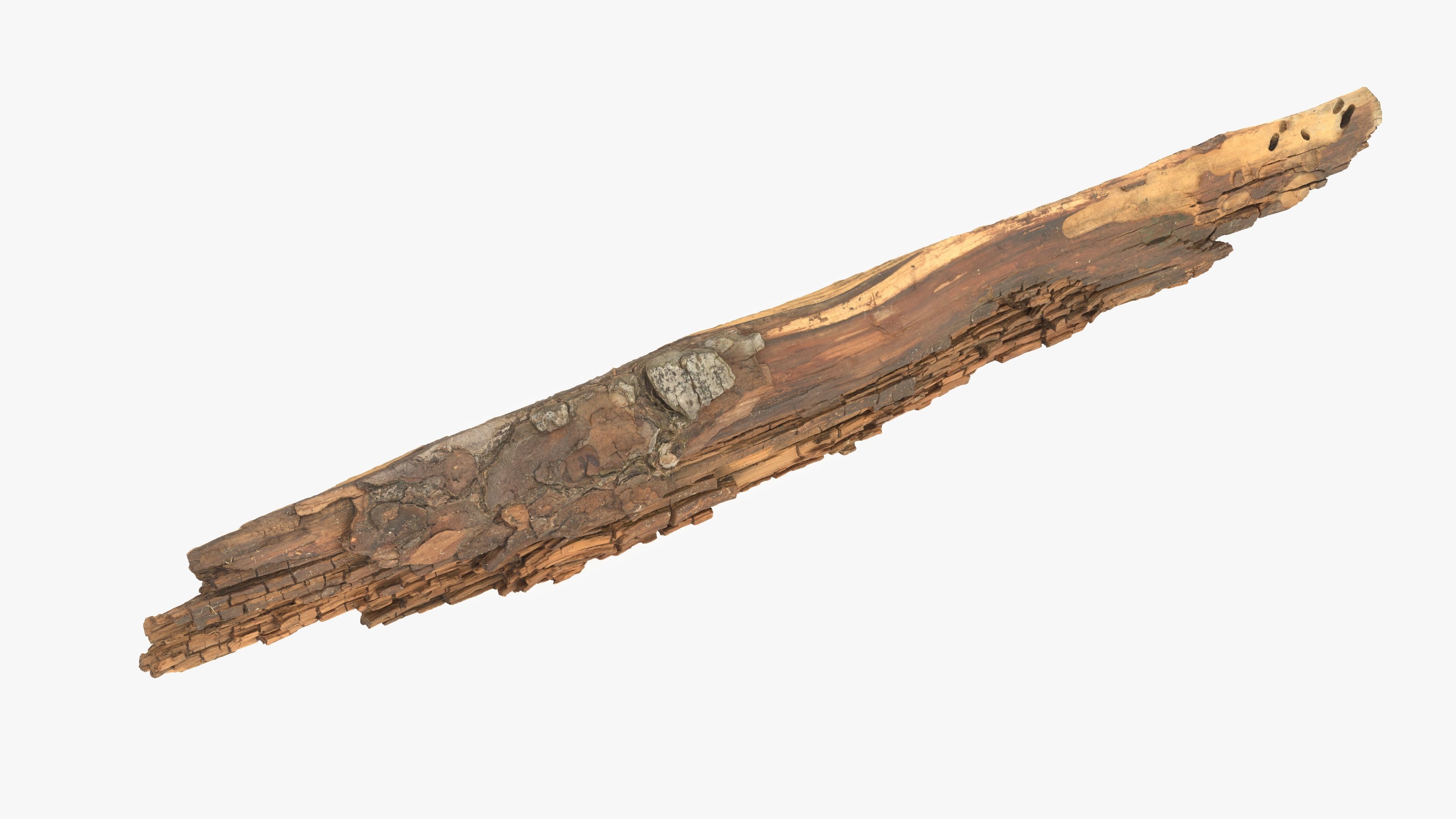 Rotten Plank Short Small Low-poly 3D model_13