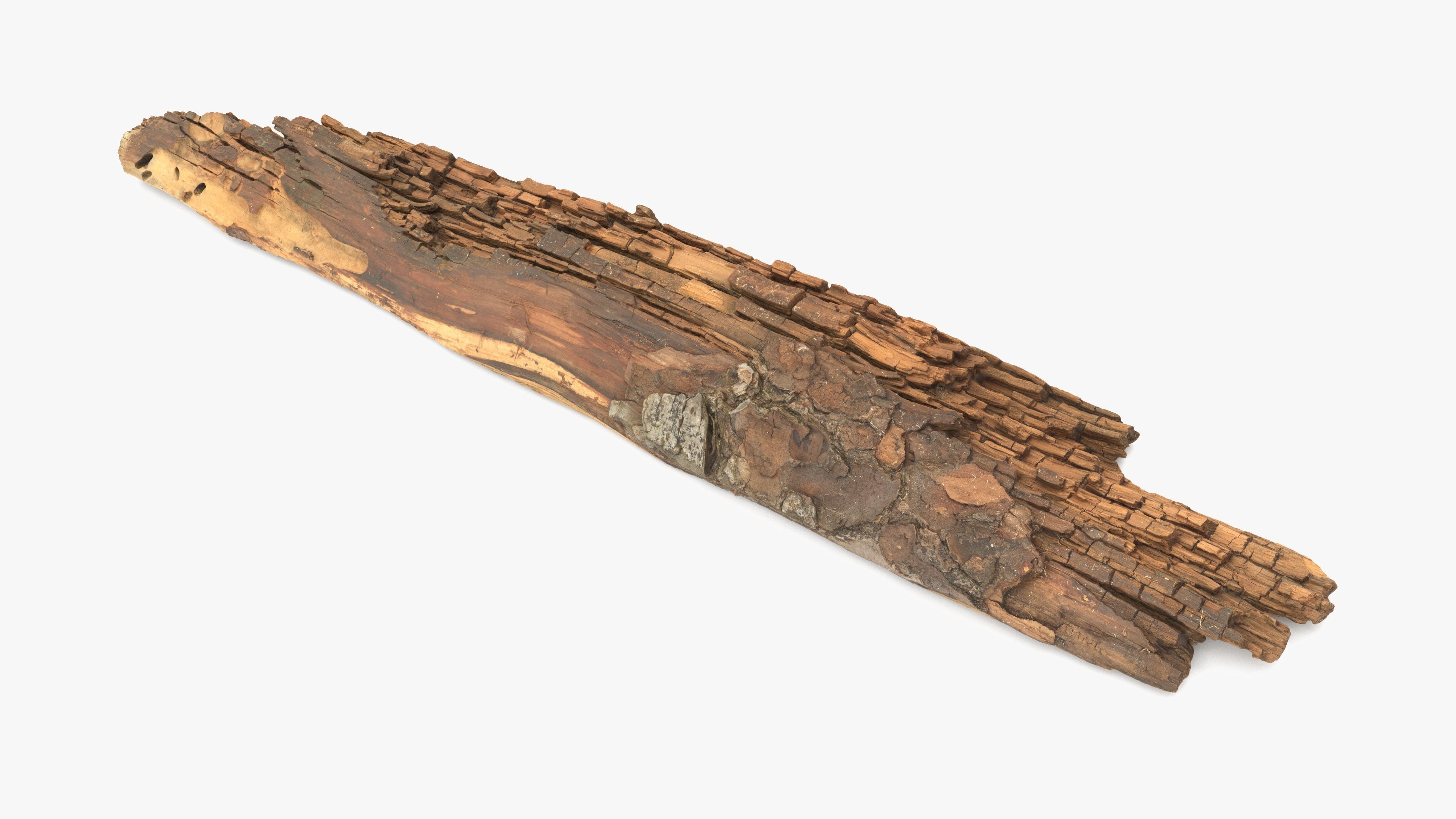 Rotten Plank Short Small Low-poly 3D model_4