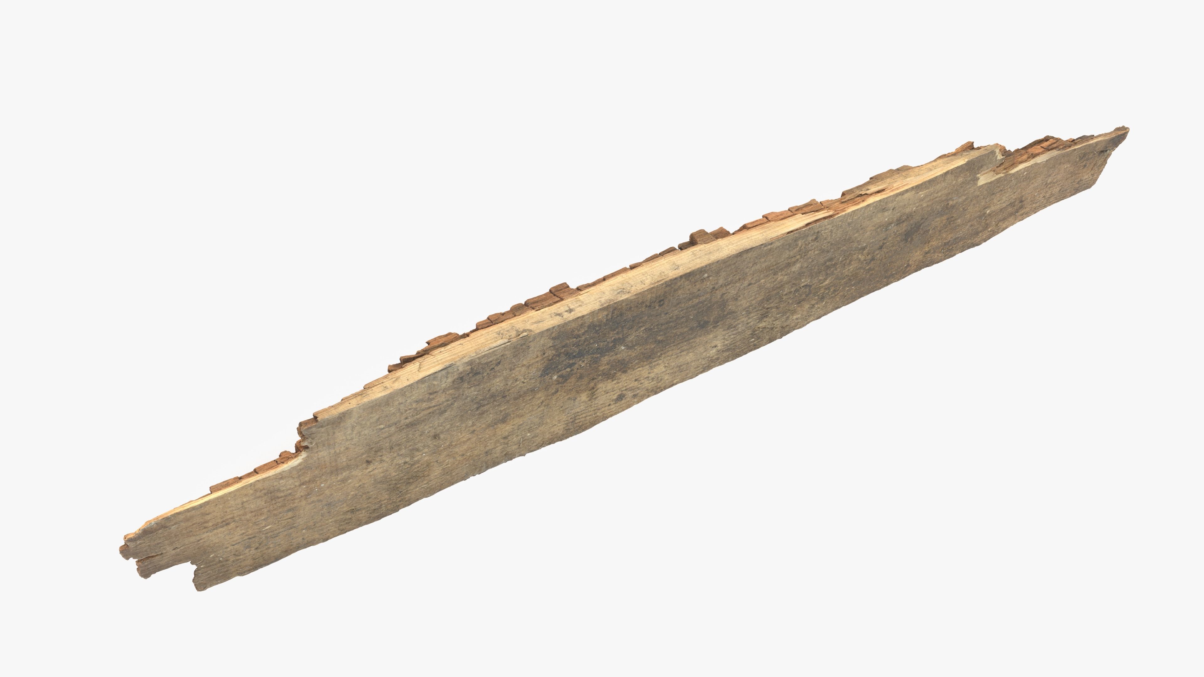 Rotten Plank Short Small Low-poly 3D model_16