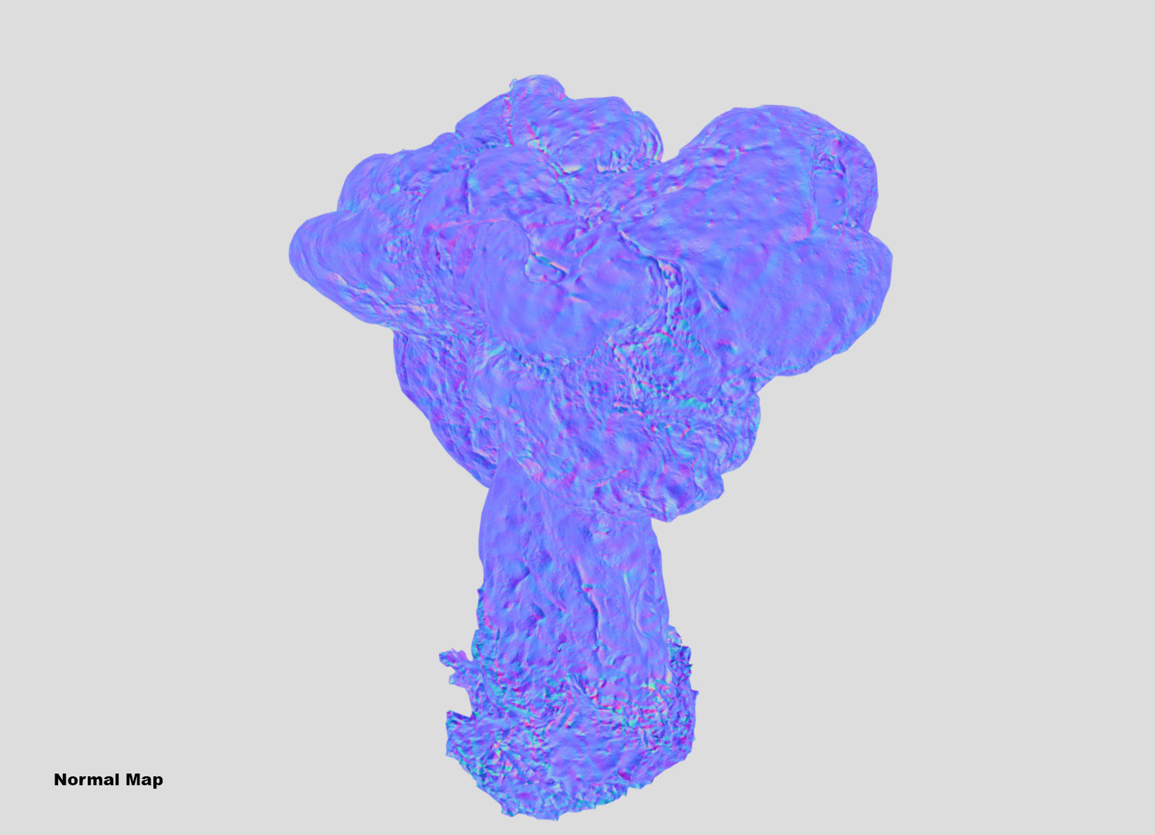 Gyromitra brain mushroom turban fungus beefsteak mushroom 3D model_46