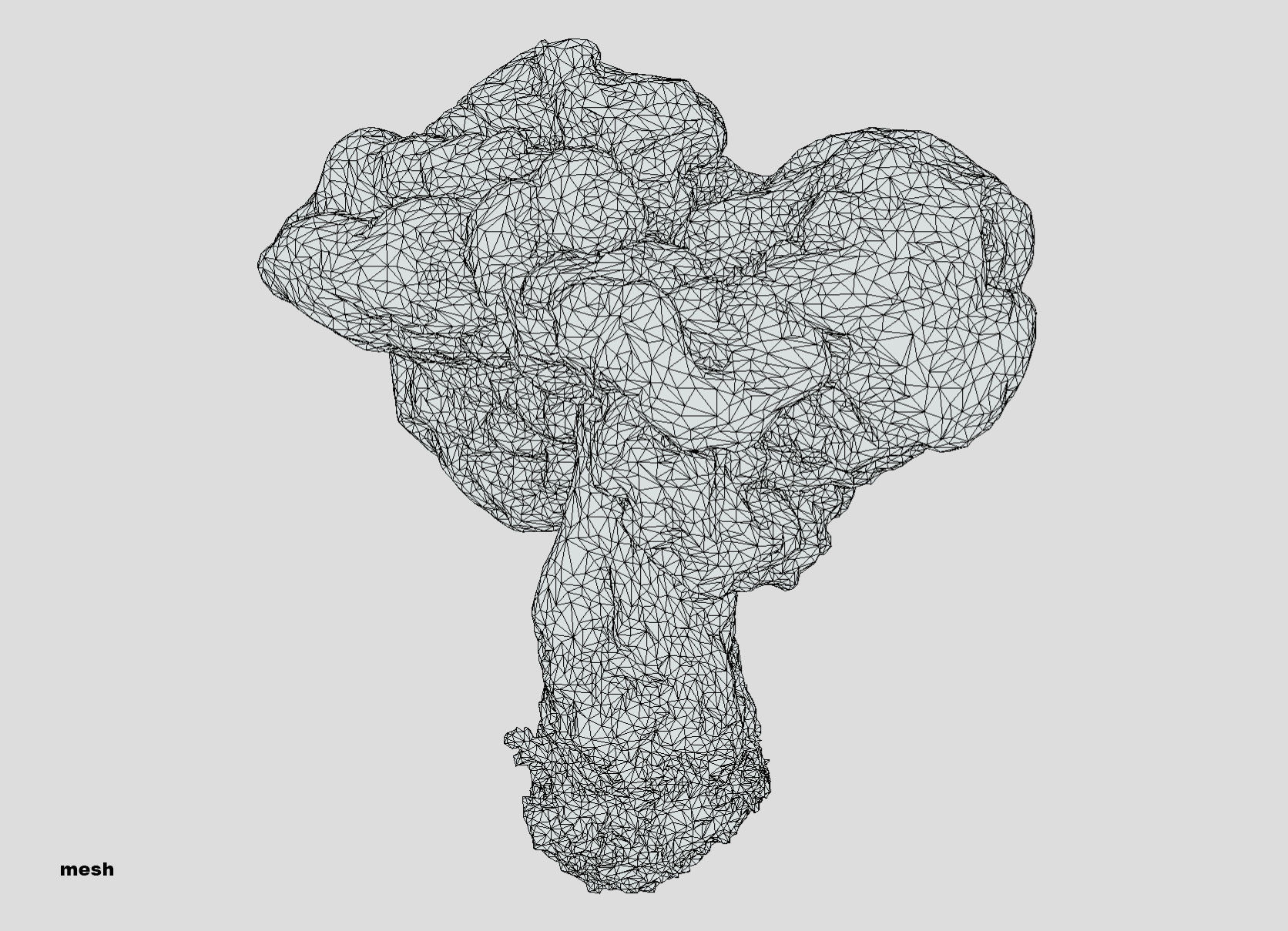 Gyromitra brain mushroom turban fungus beefsteak mushroom 3D model_34