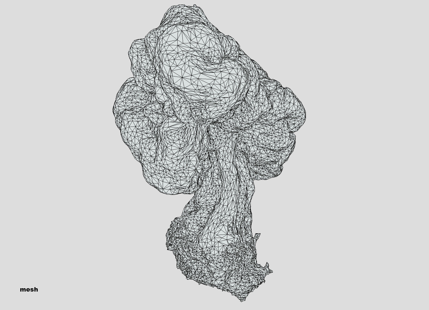 Gyromitra brain mushroom turban fungus beefsteak mushroom 3D model_30