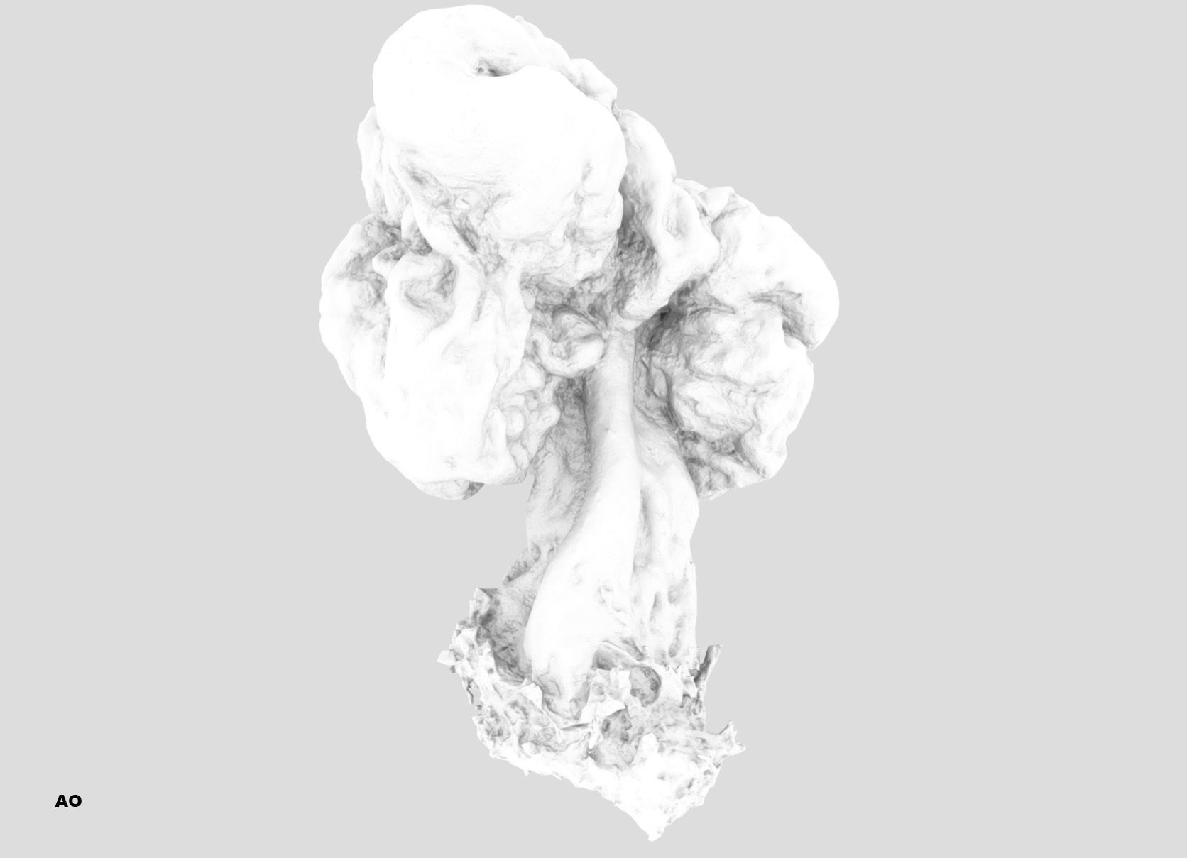 Gyromitra brain mushroom turban fungus beefsteak mushroom 3D model_39