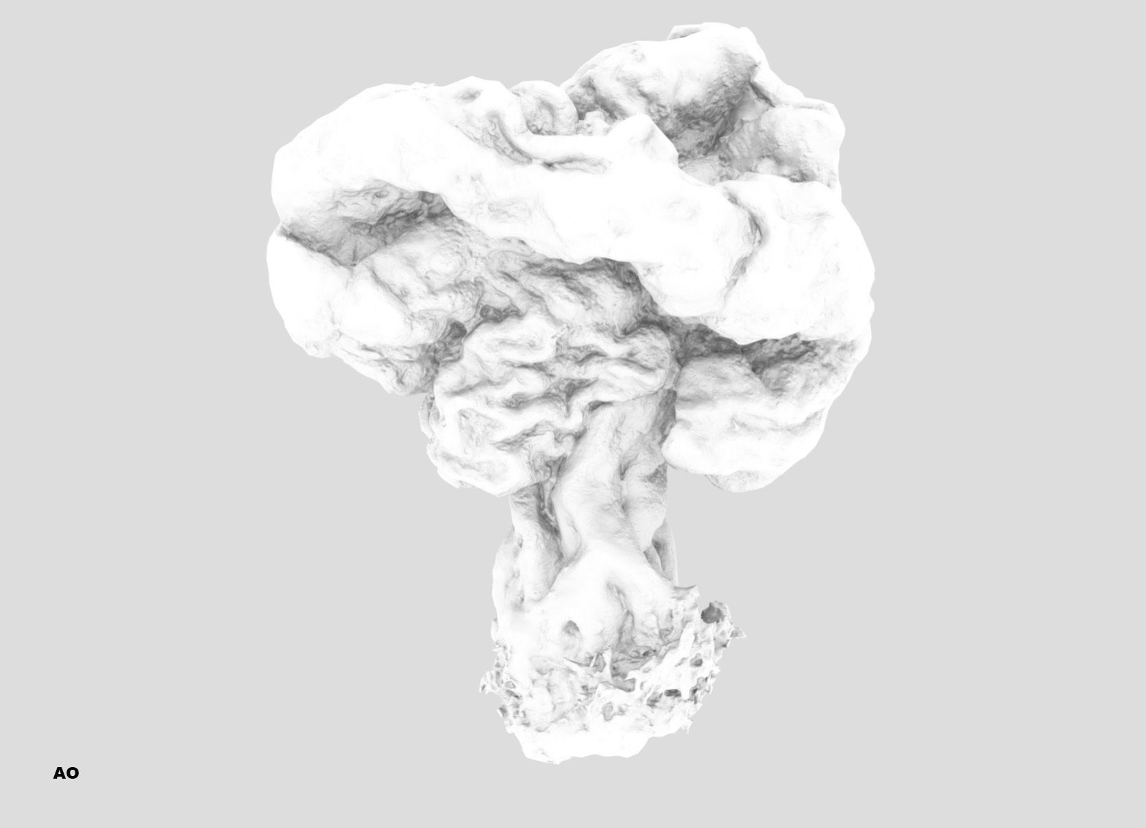 Gyromitra brain mushroom turban fungus beefsteak mushroom 3D model_41