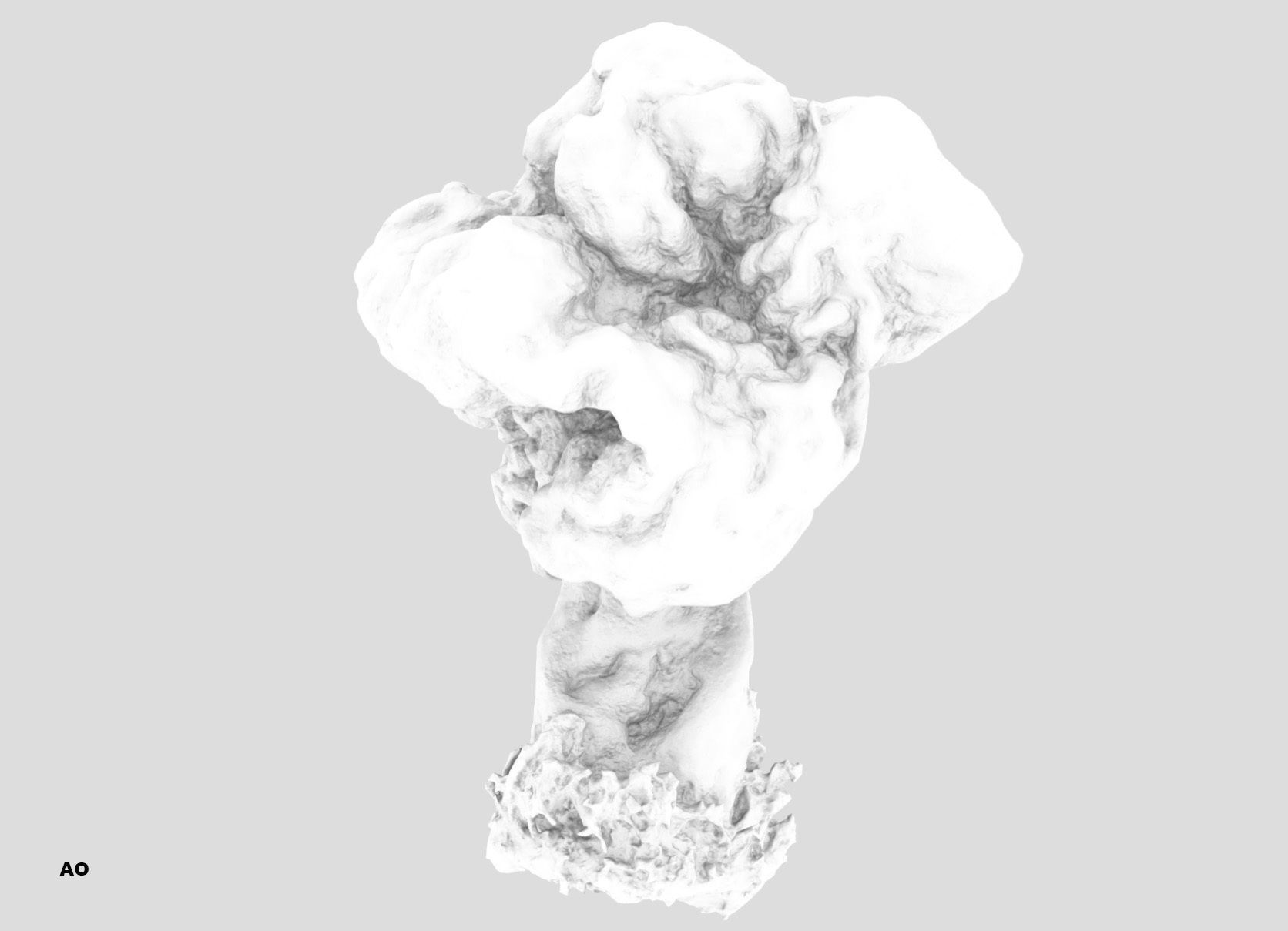 Gyromitra brain mushroom turban fungus beefsteak mushroom 3D model_38