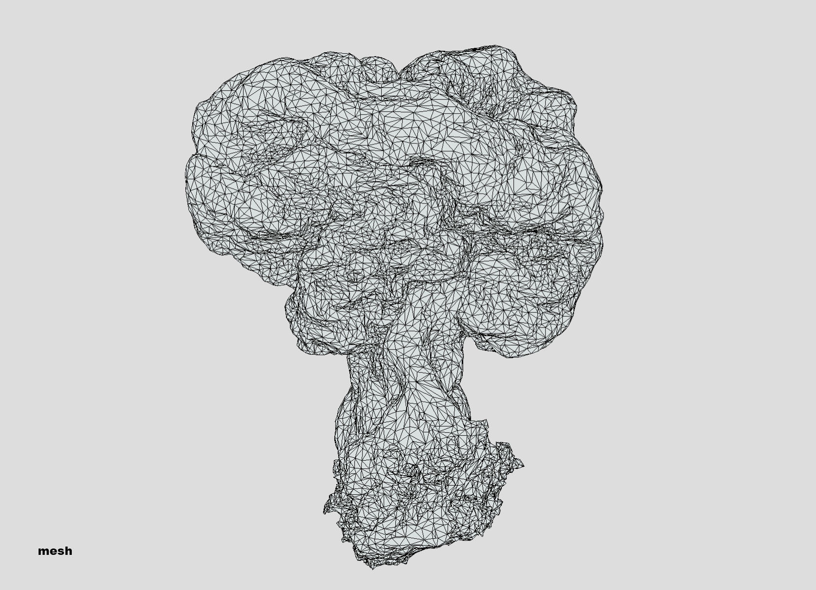 Gyromitra brain mushroom turban fungus beefsteak mushroom 3D model_35