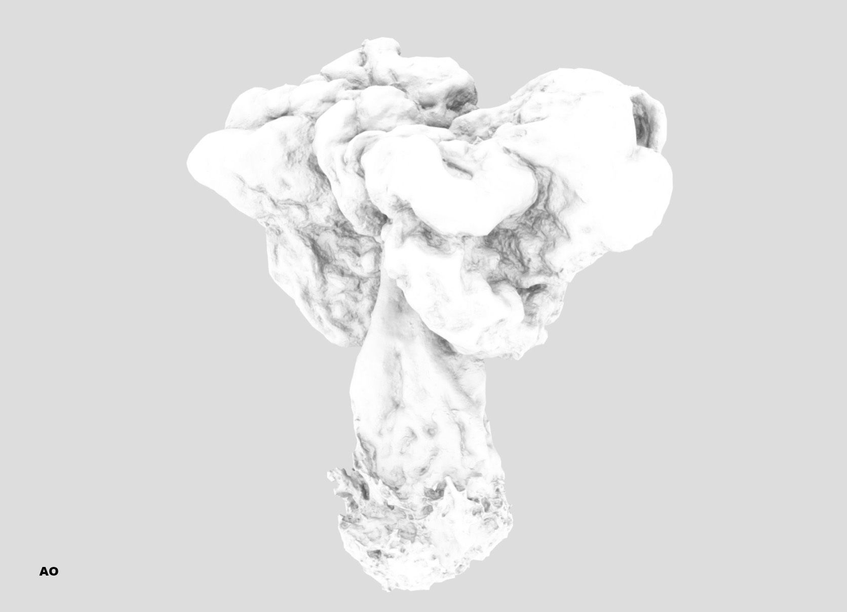 Gyromitra brain mushroom turban fungus beefsteak mushroom 3D model_37