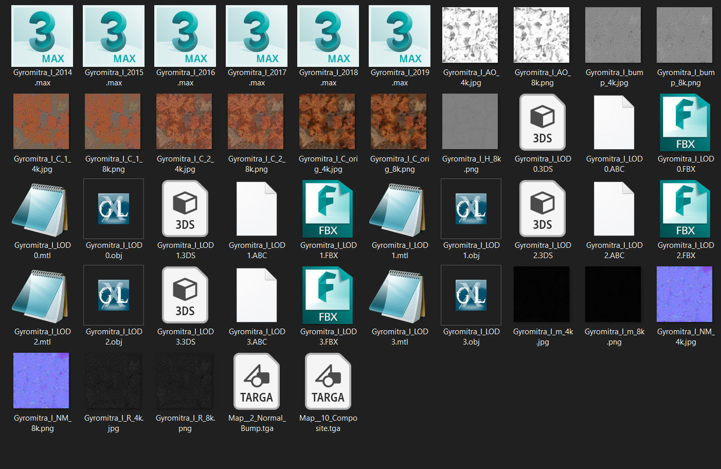 Gyromitra brain mushroom turban fungus beefsteak mushroom 3D model_51